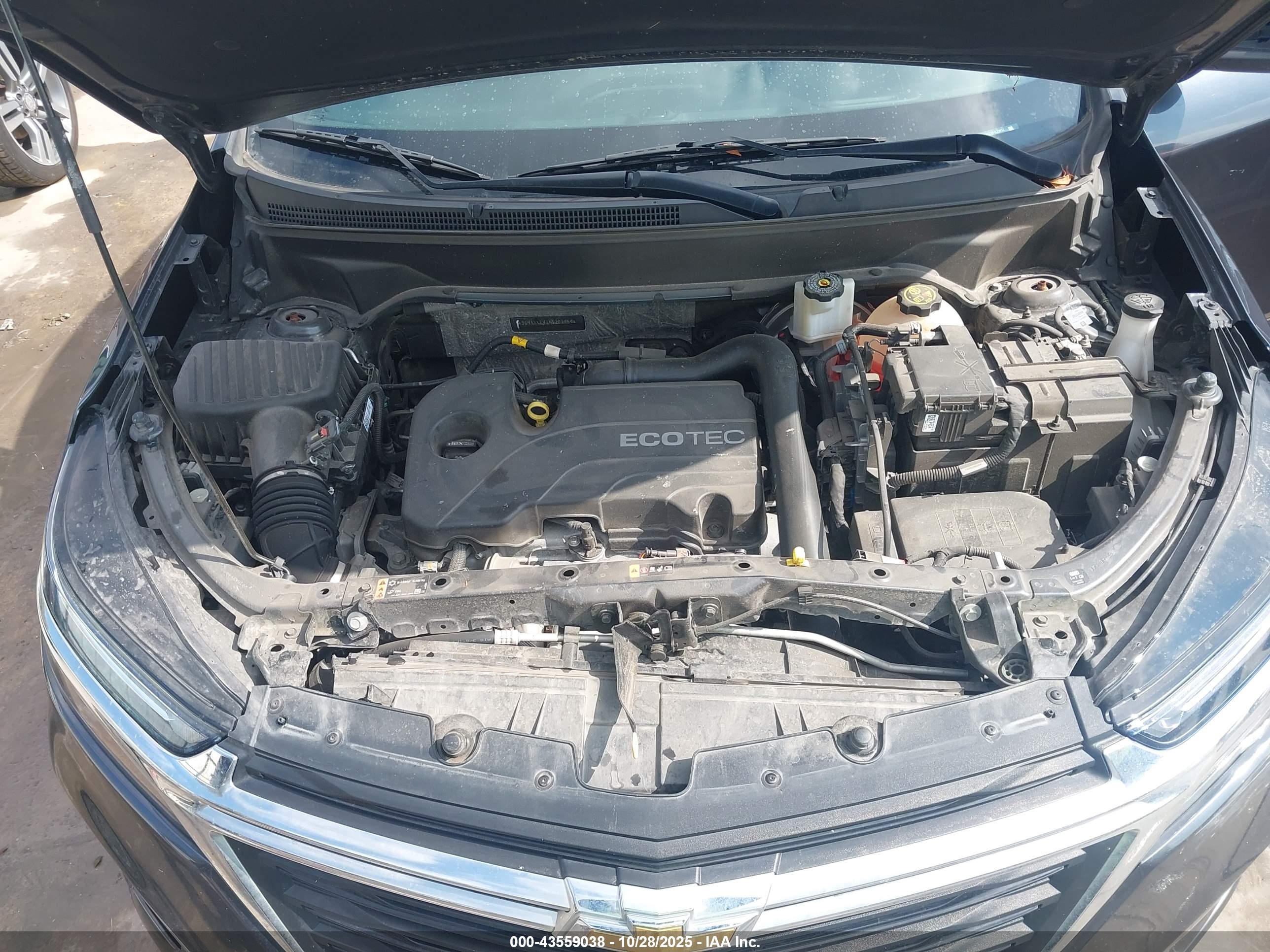 CHEVROLET EQUINOX image 10