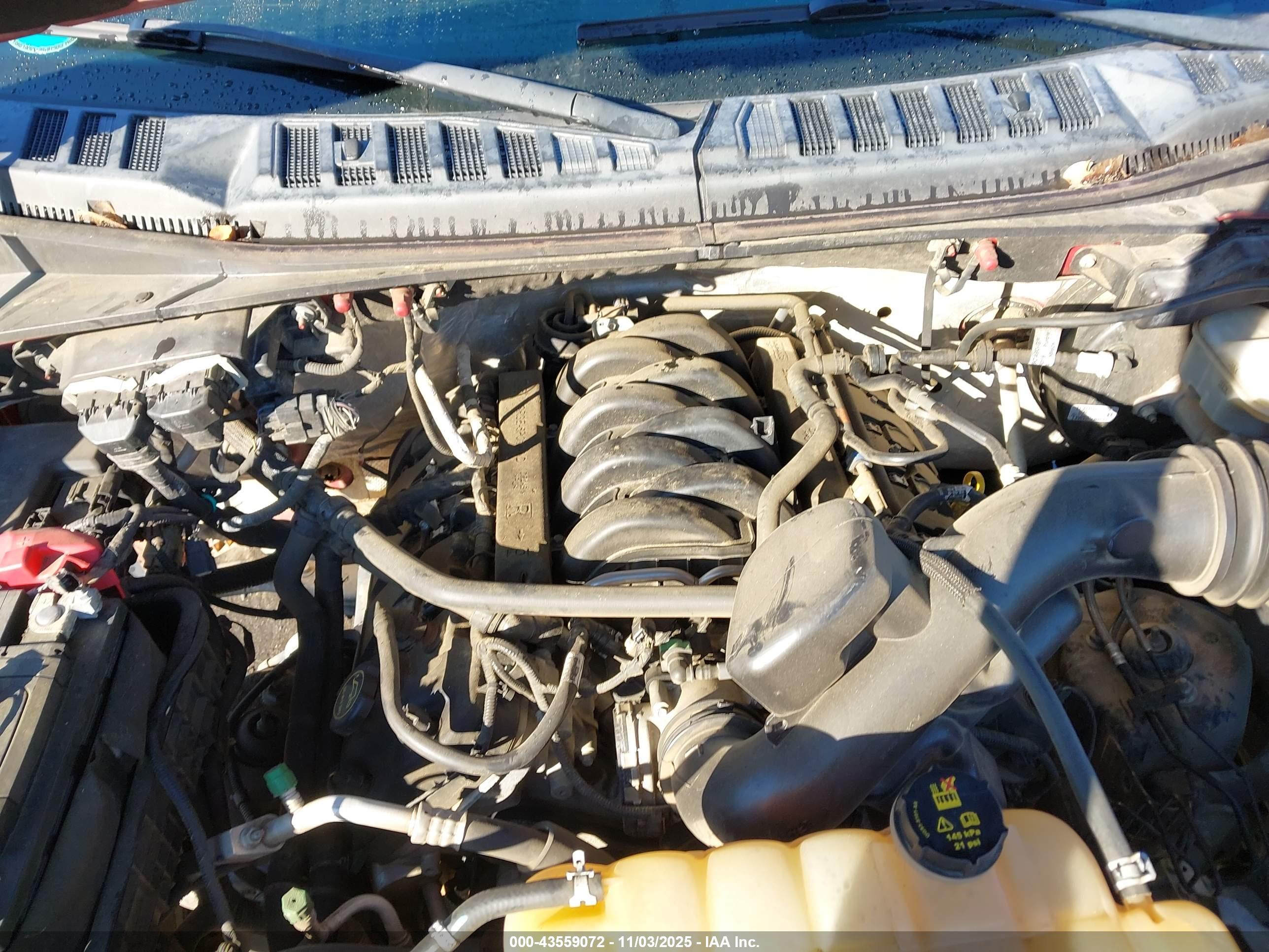 FORD F-150 image 10