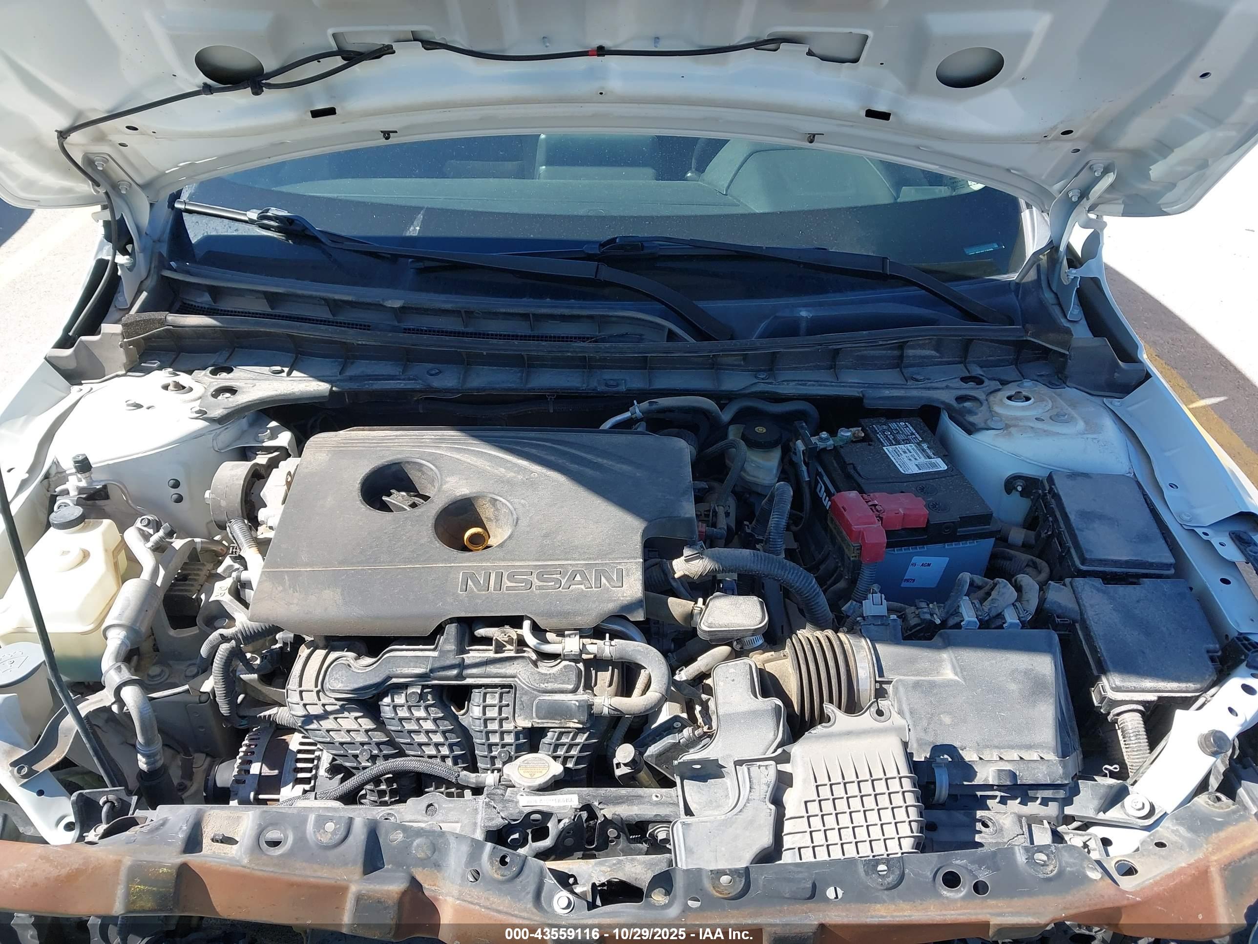 NISSAN ALTIMA image 10