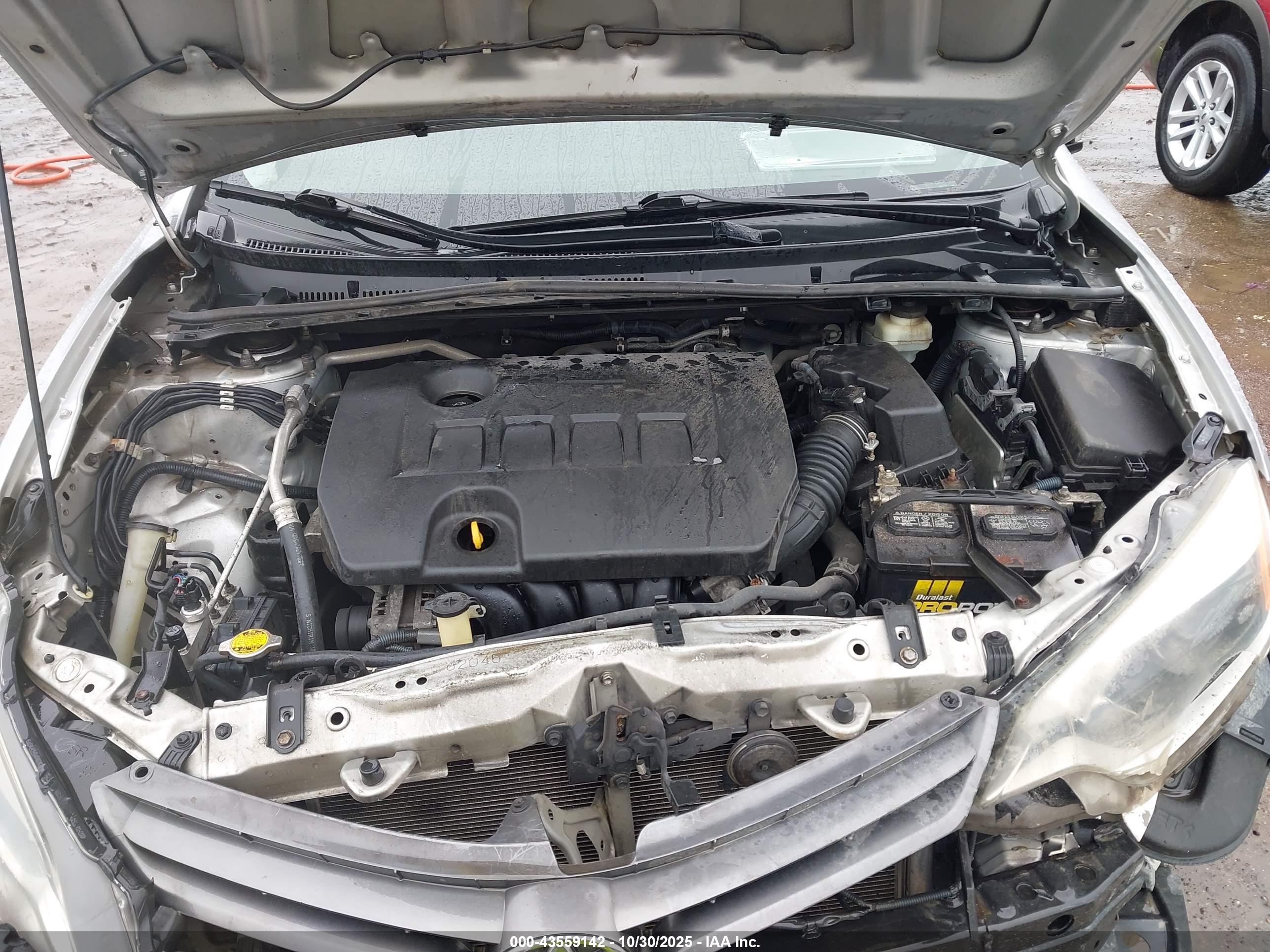 TOYOTA COROLLA image 10