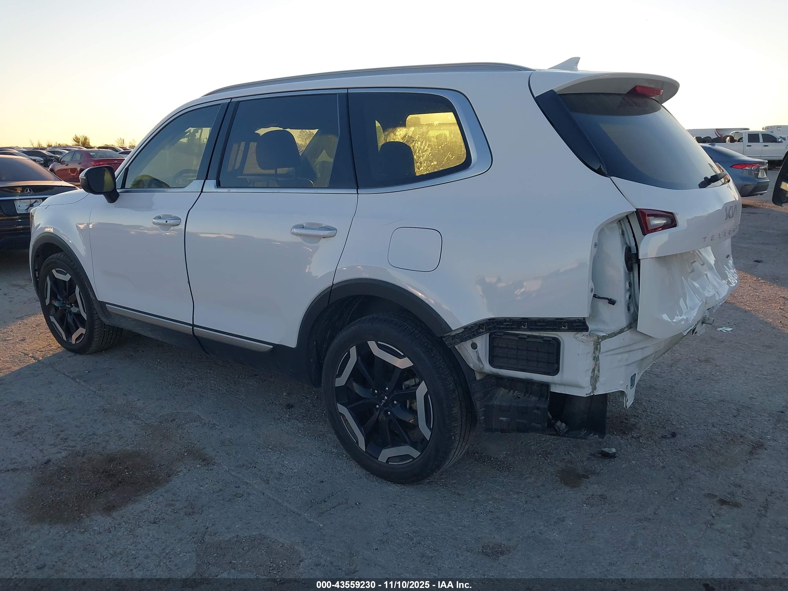 KIA TELLURIDE image 3