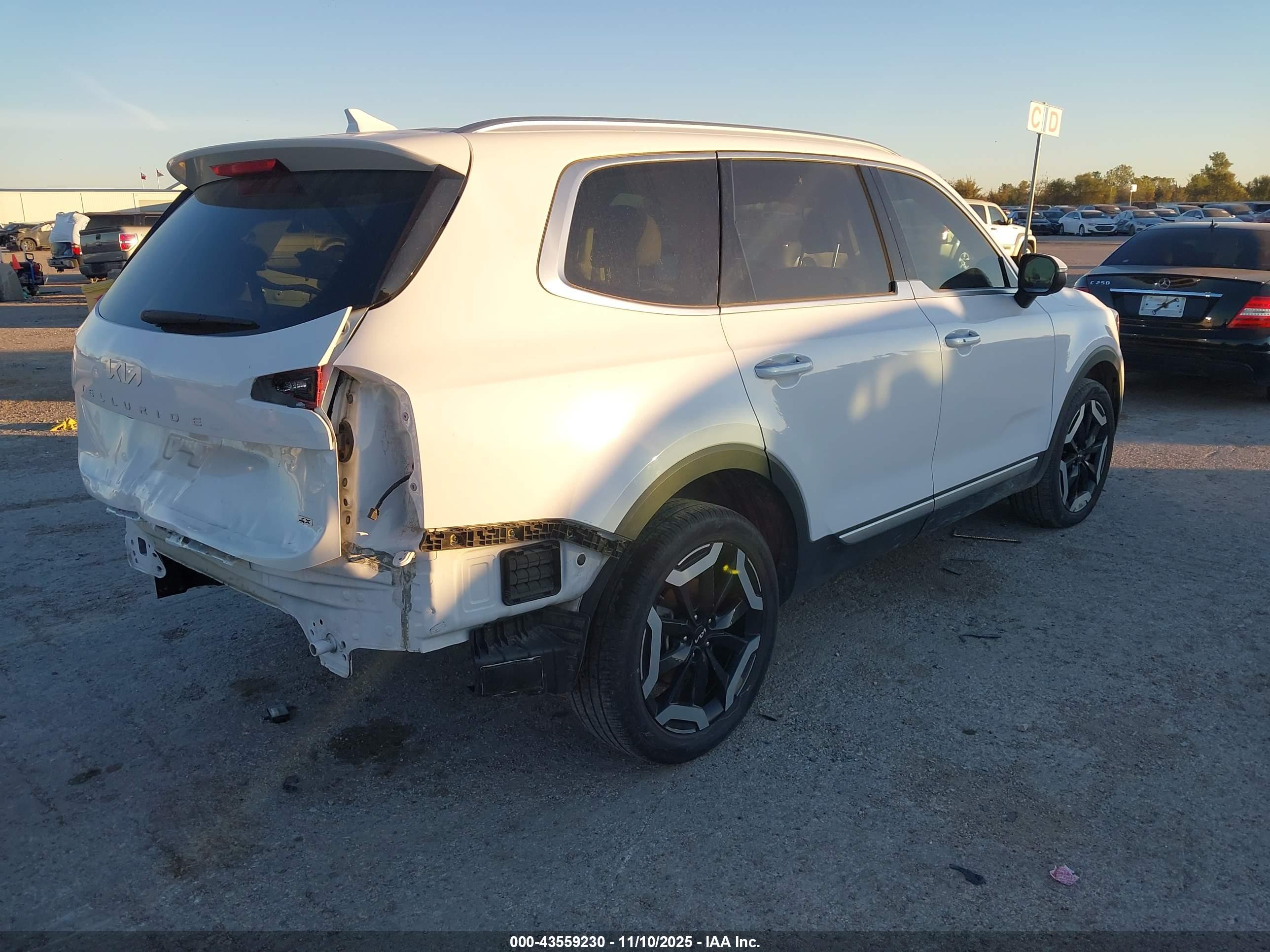 KIA TELLURIDE image 4
