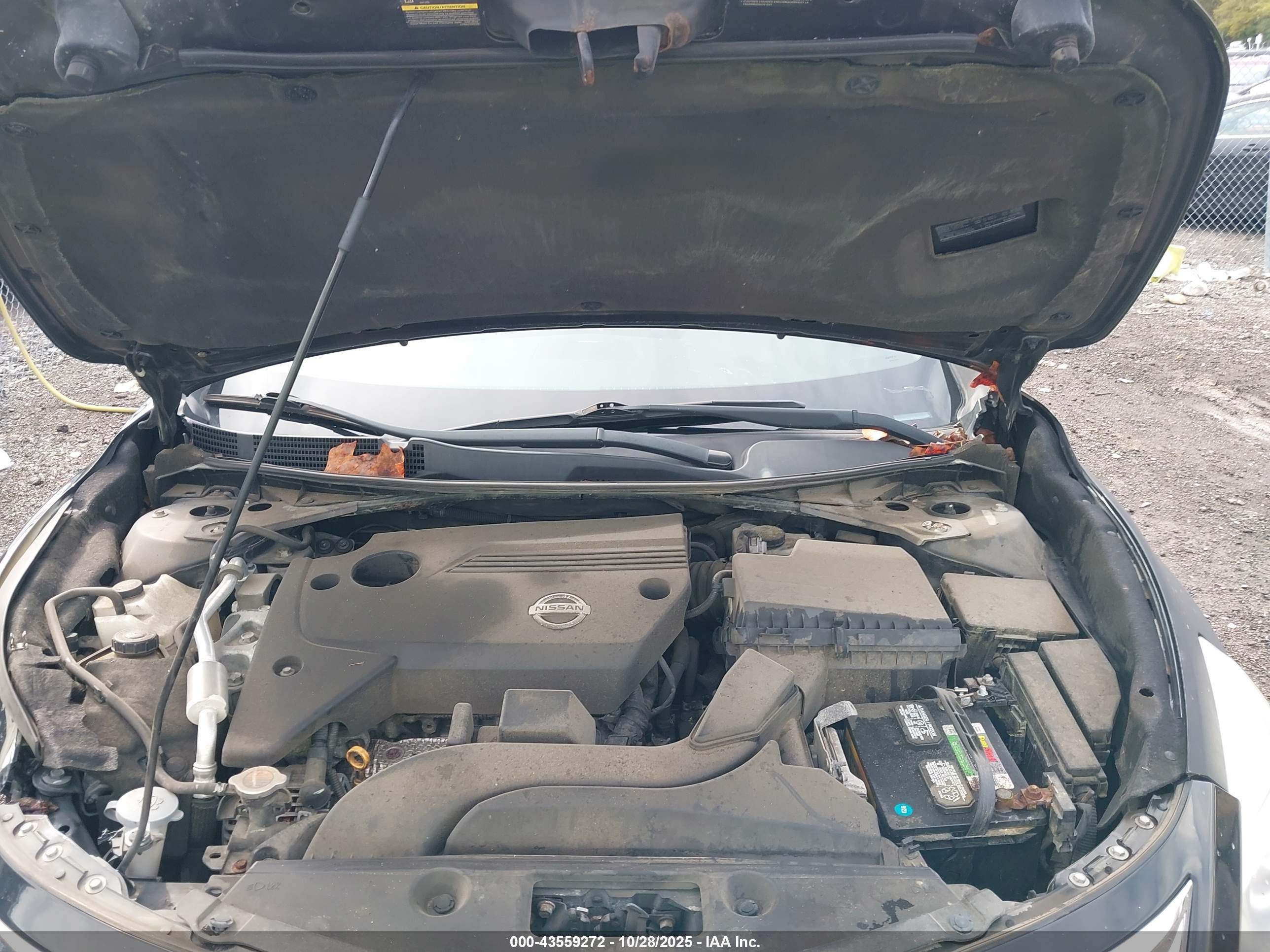 NISSAN ALTIMA image 10