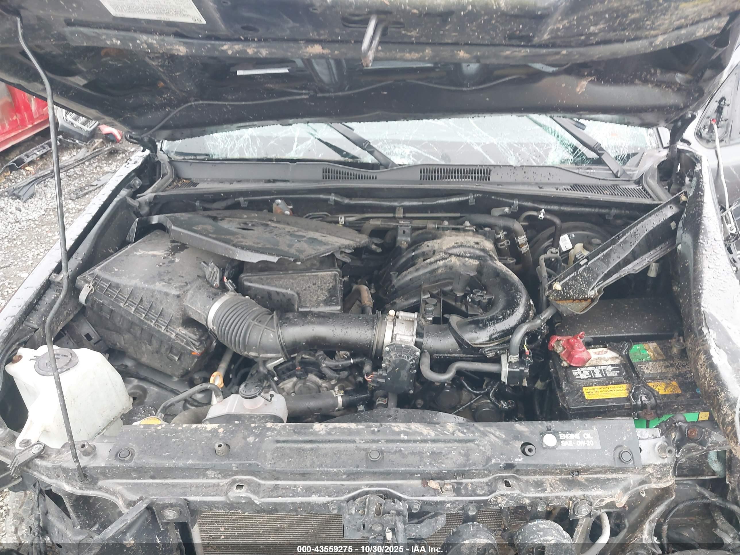 TOYOTA TACOMA image 10