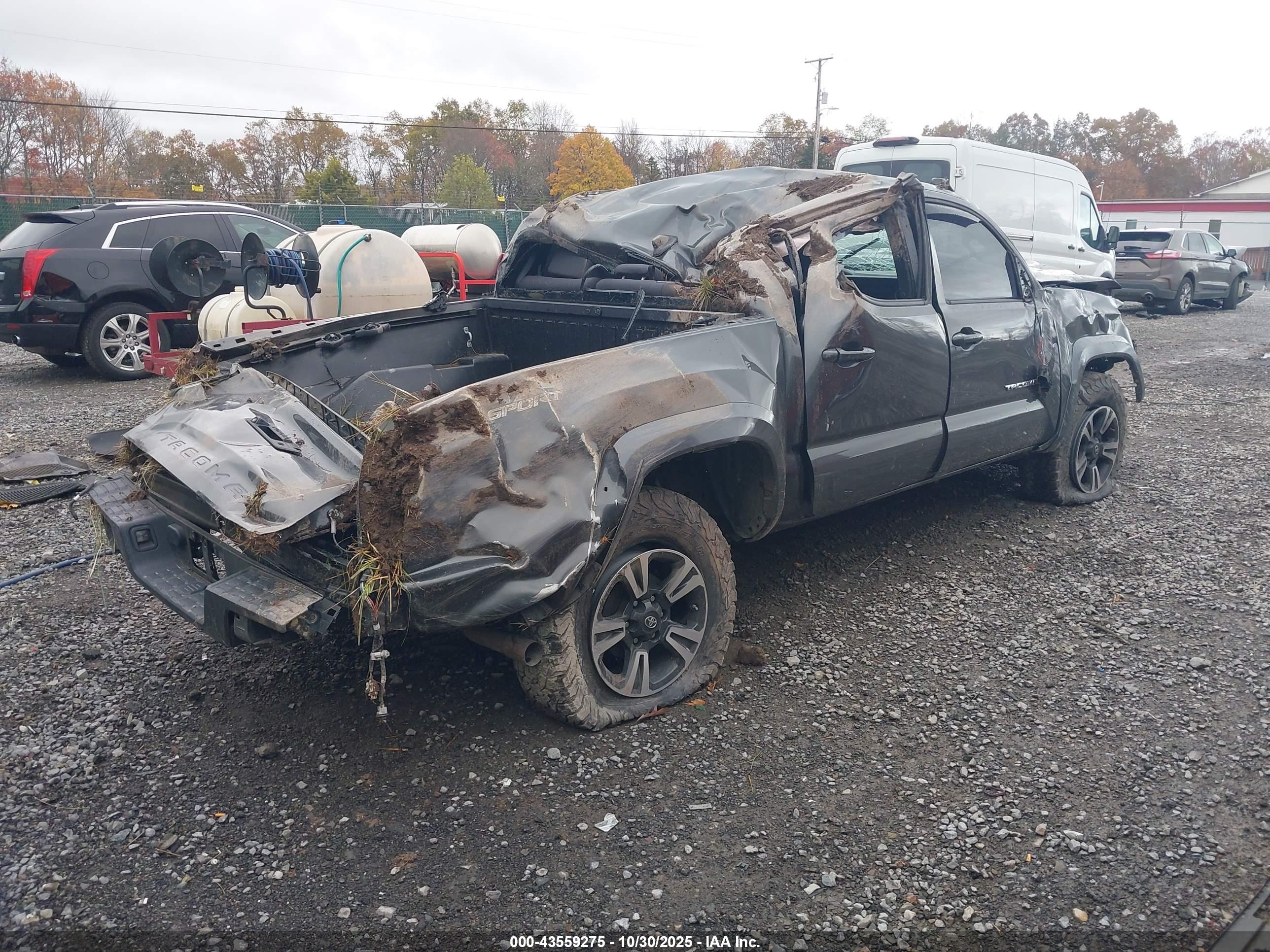 TOYOTA TACOMA image 4