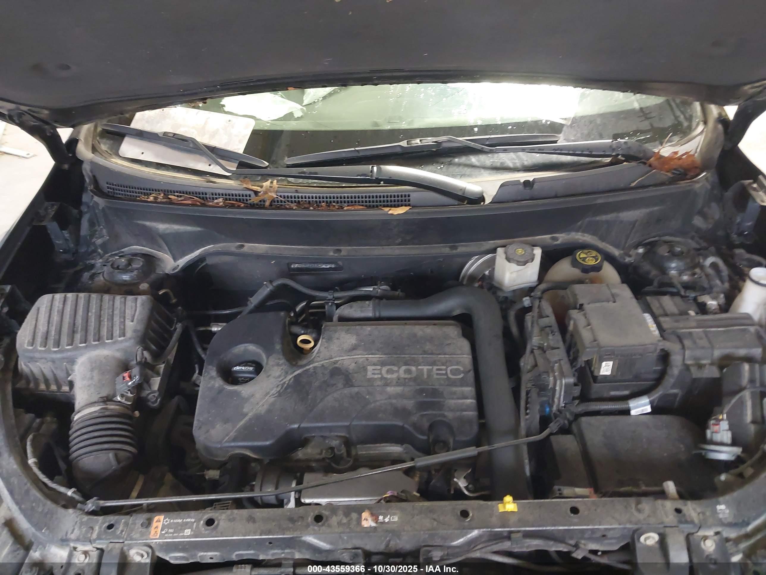 CHEVROLET EQUINOX image 10