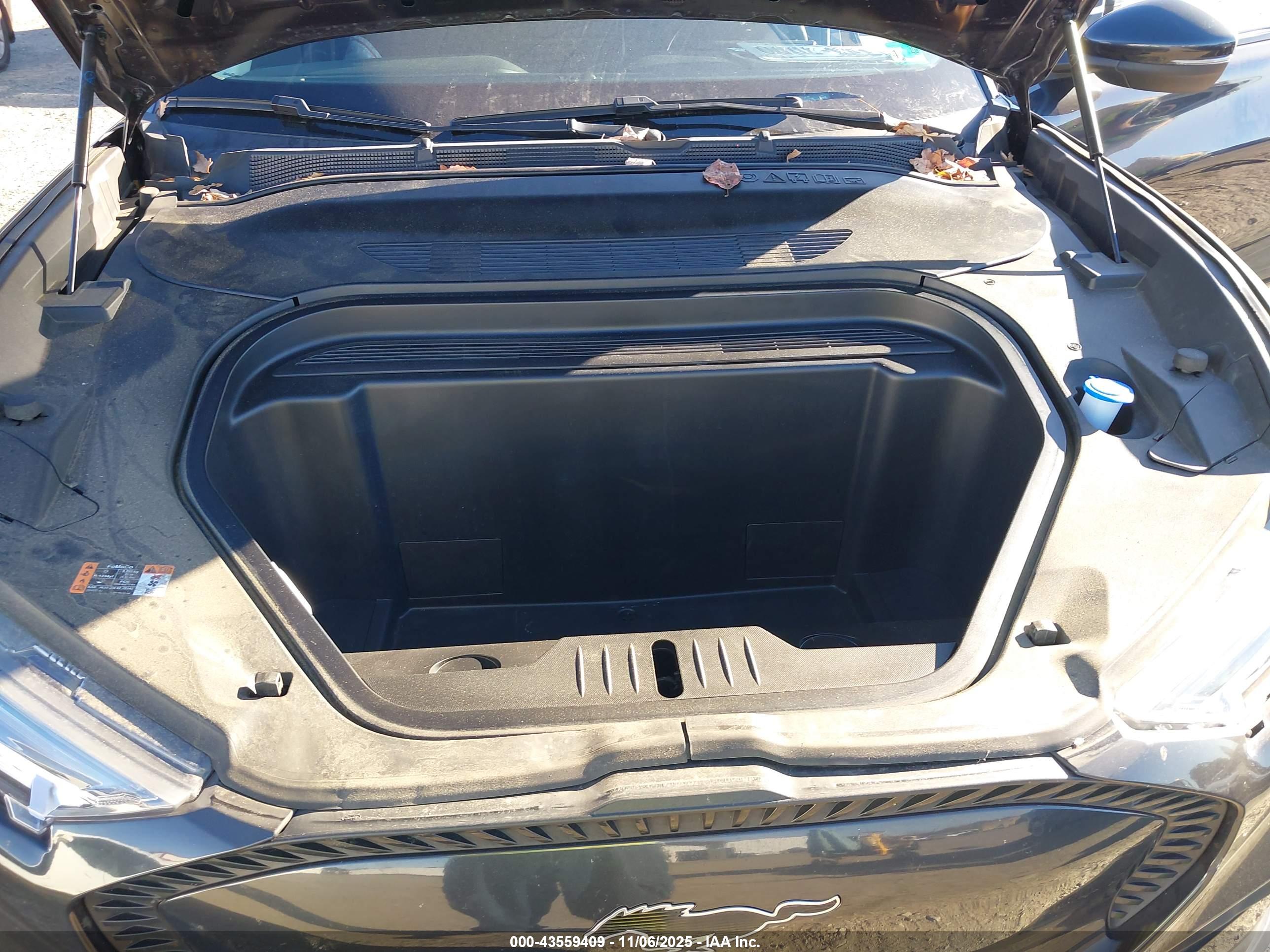 FORD MUSTANG image 10