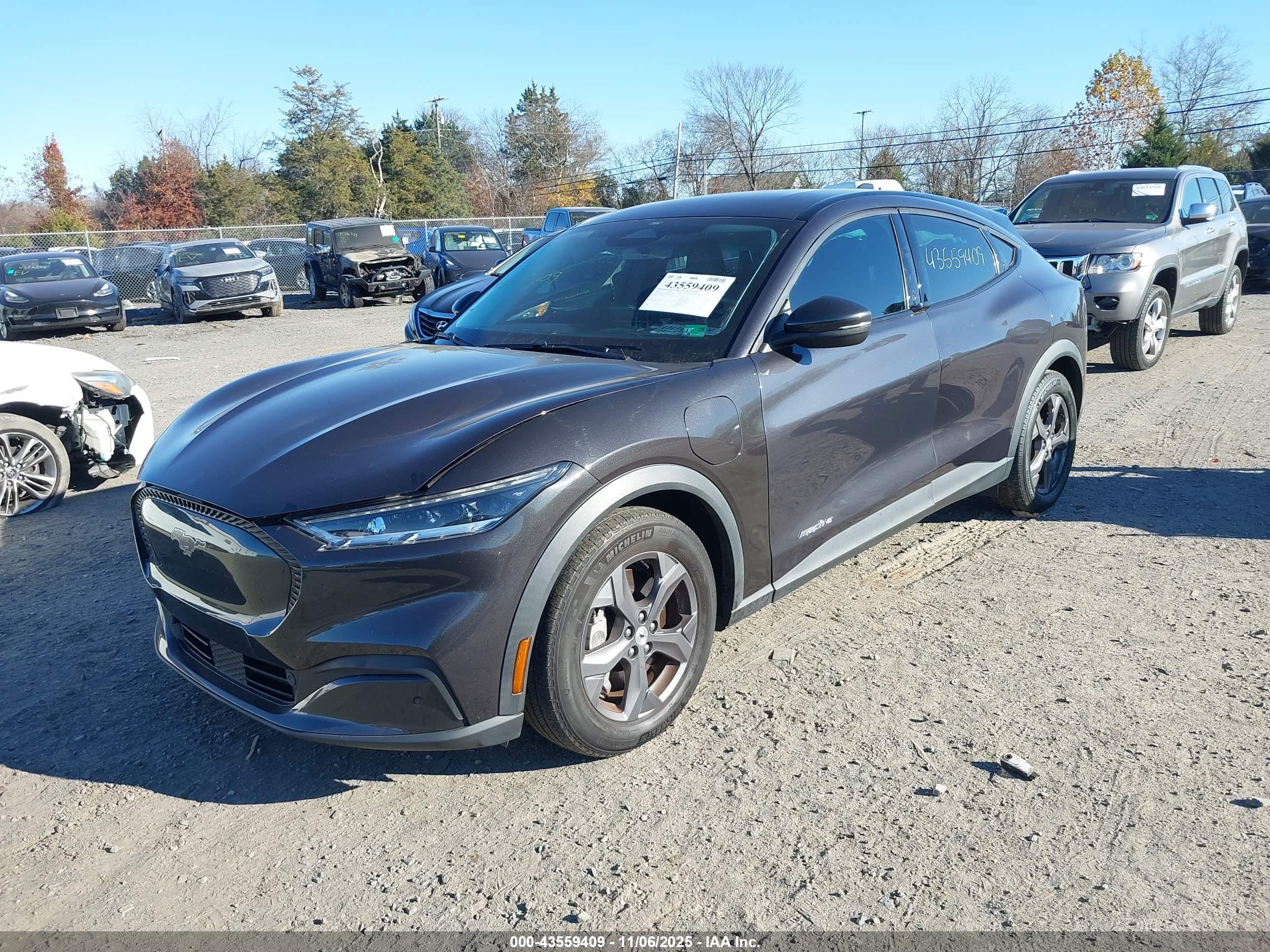 FORD MUSTANG image 2