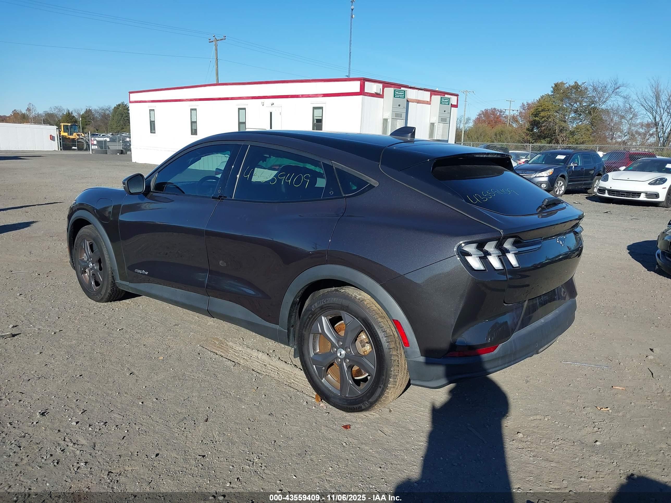 FORD MUSTANG image 3