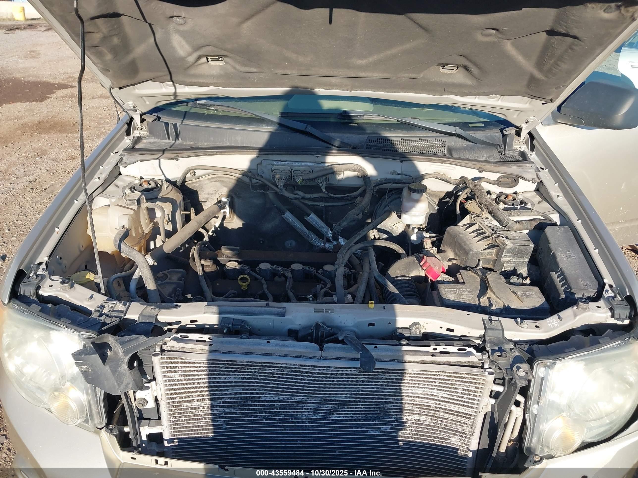 FORD ESCAPE image 10