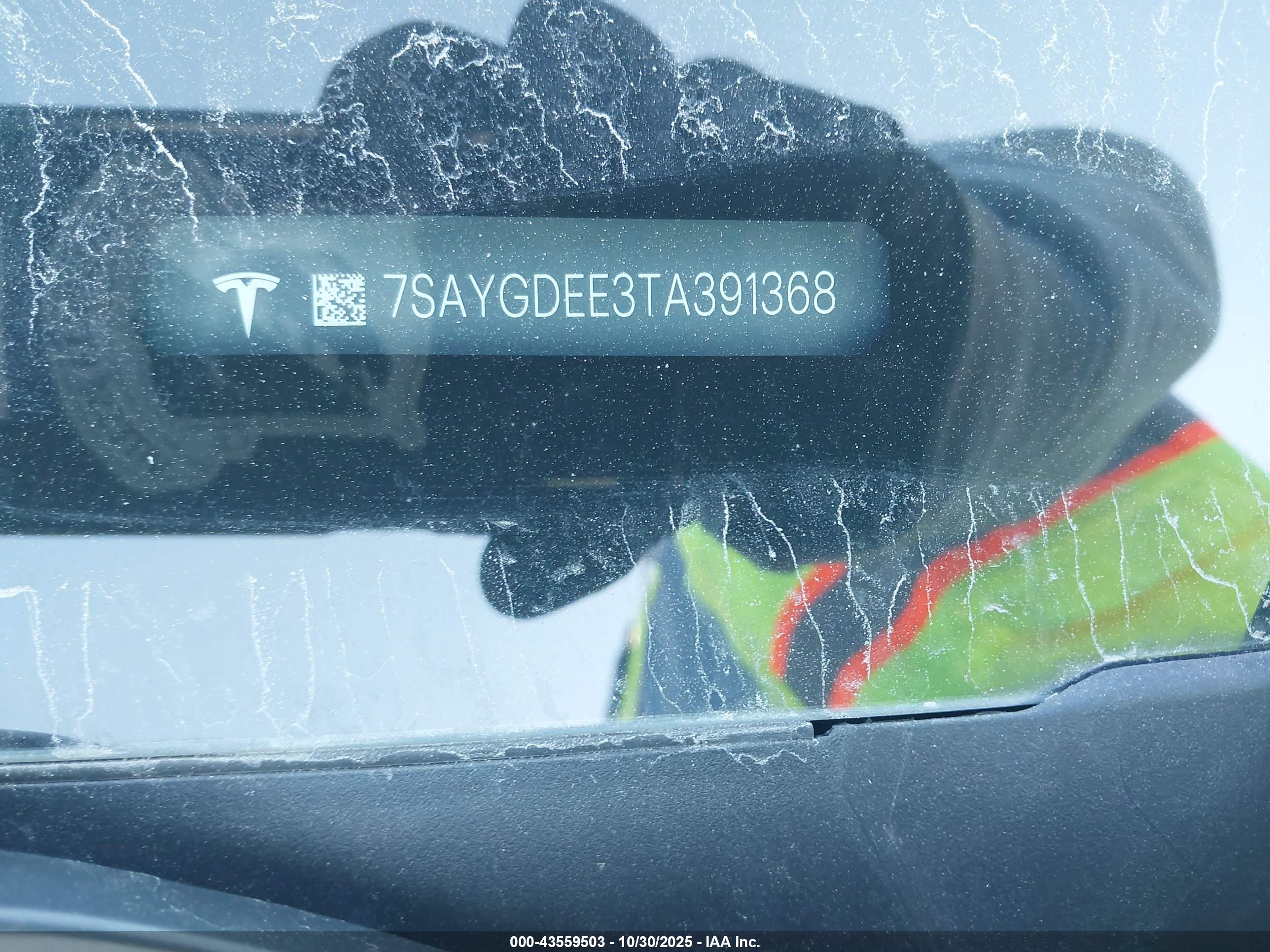 TESLA MODEL image 9