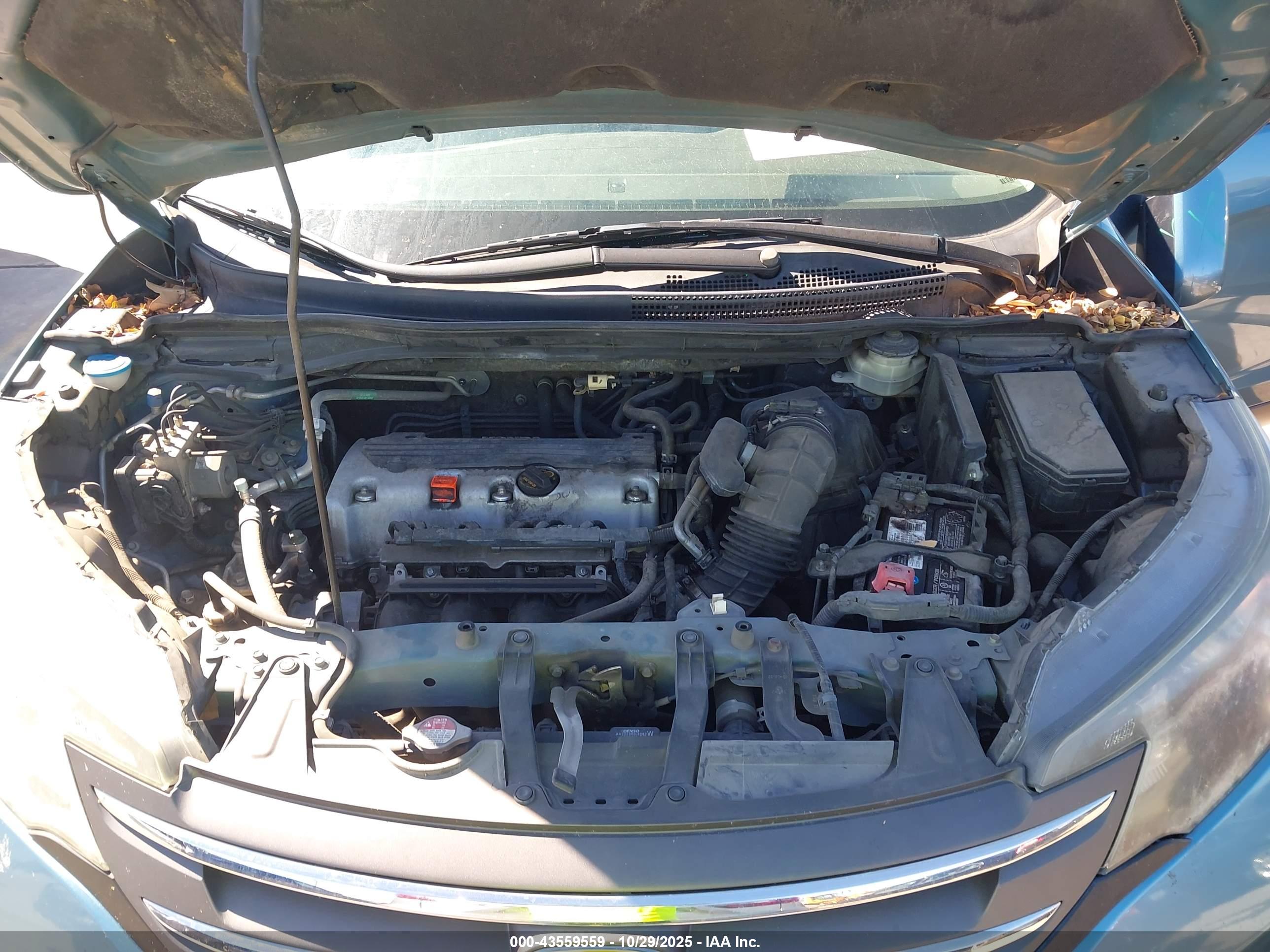 HONDA CR-V image 10