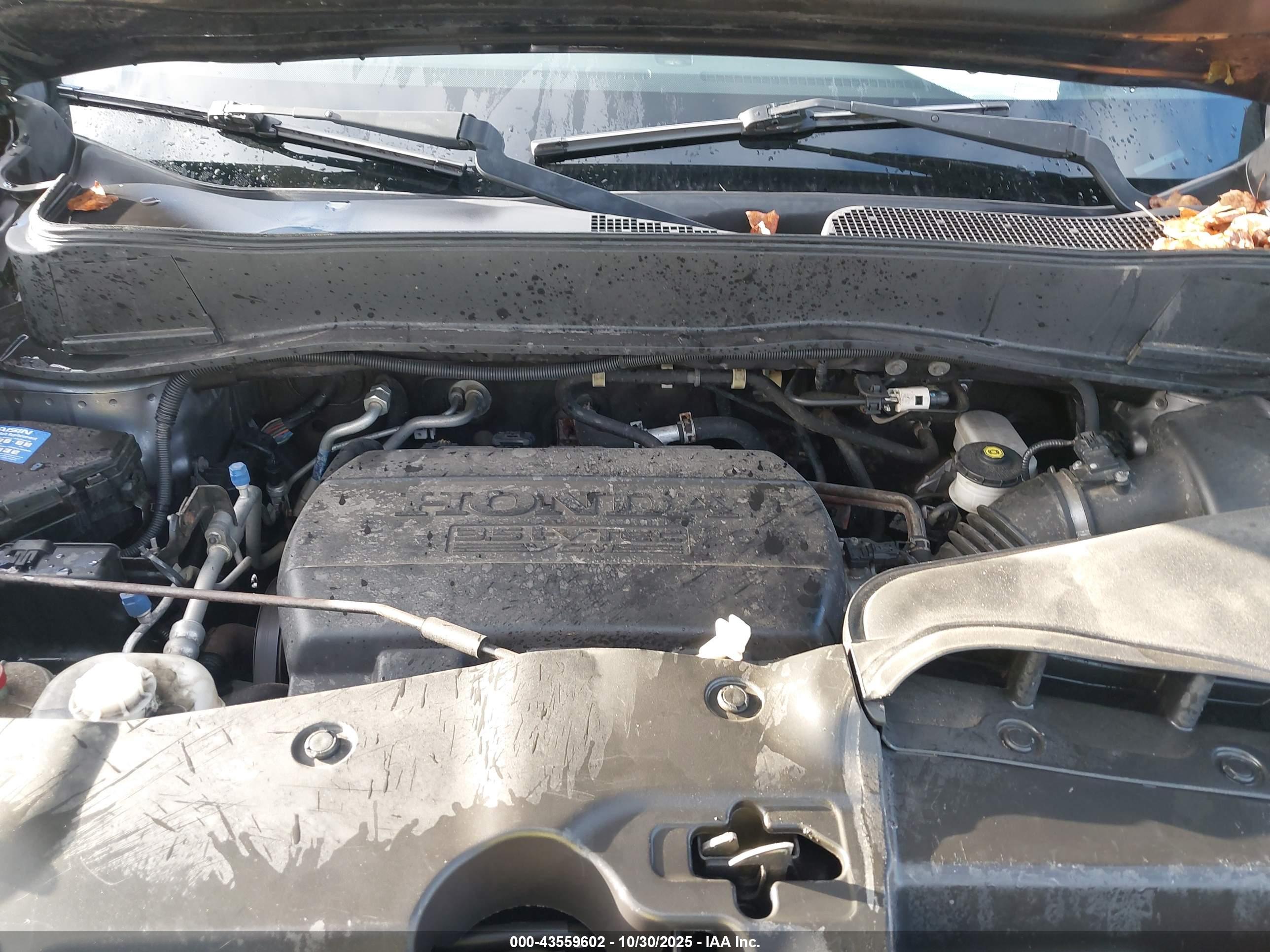 HONDA PILOT image 10