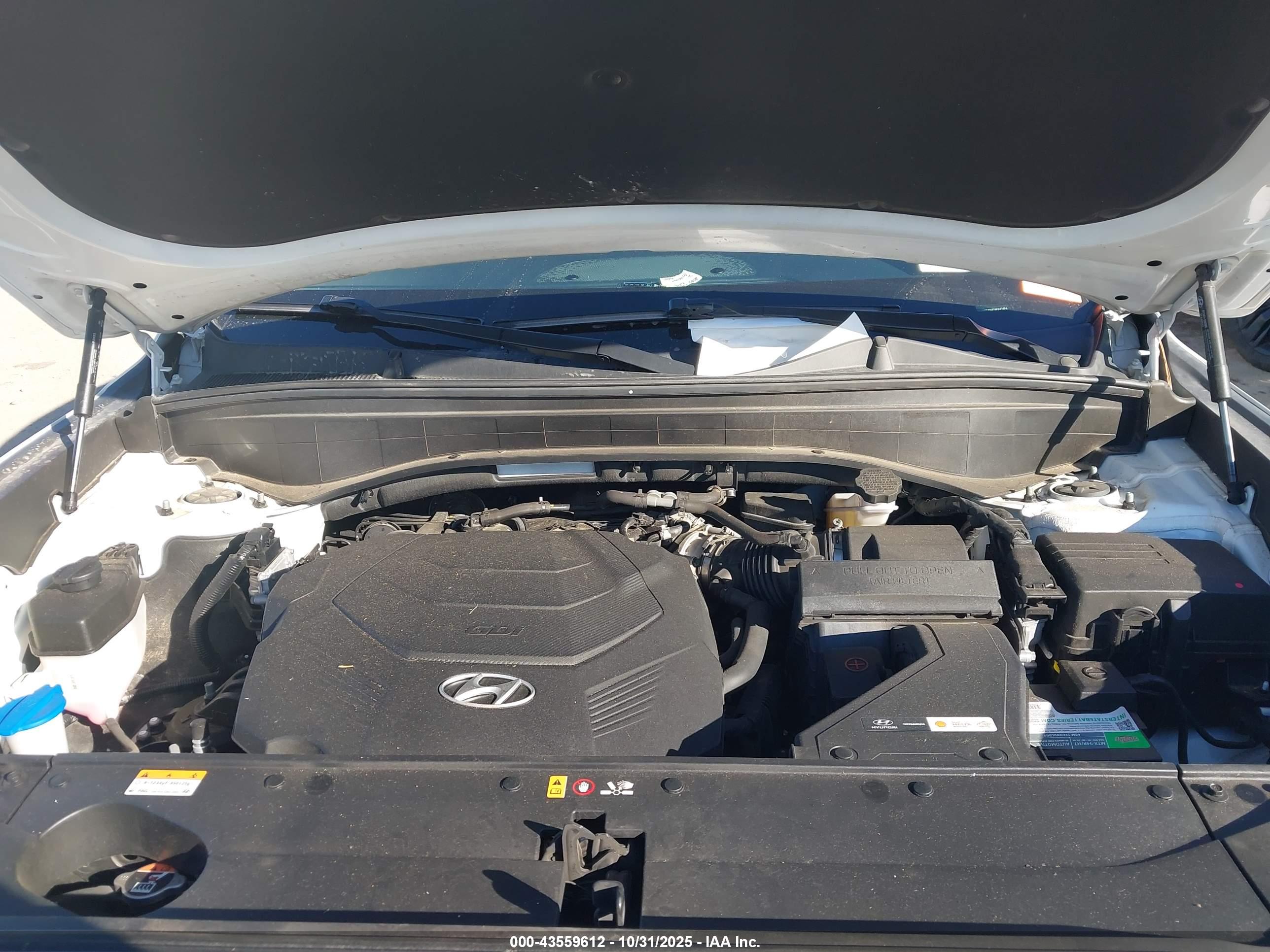 HYUNDAI PALISADE image 10