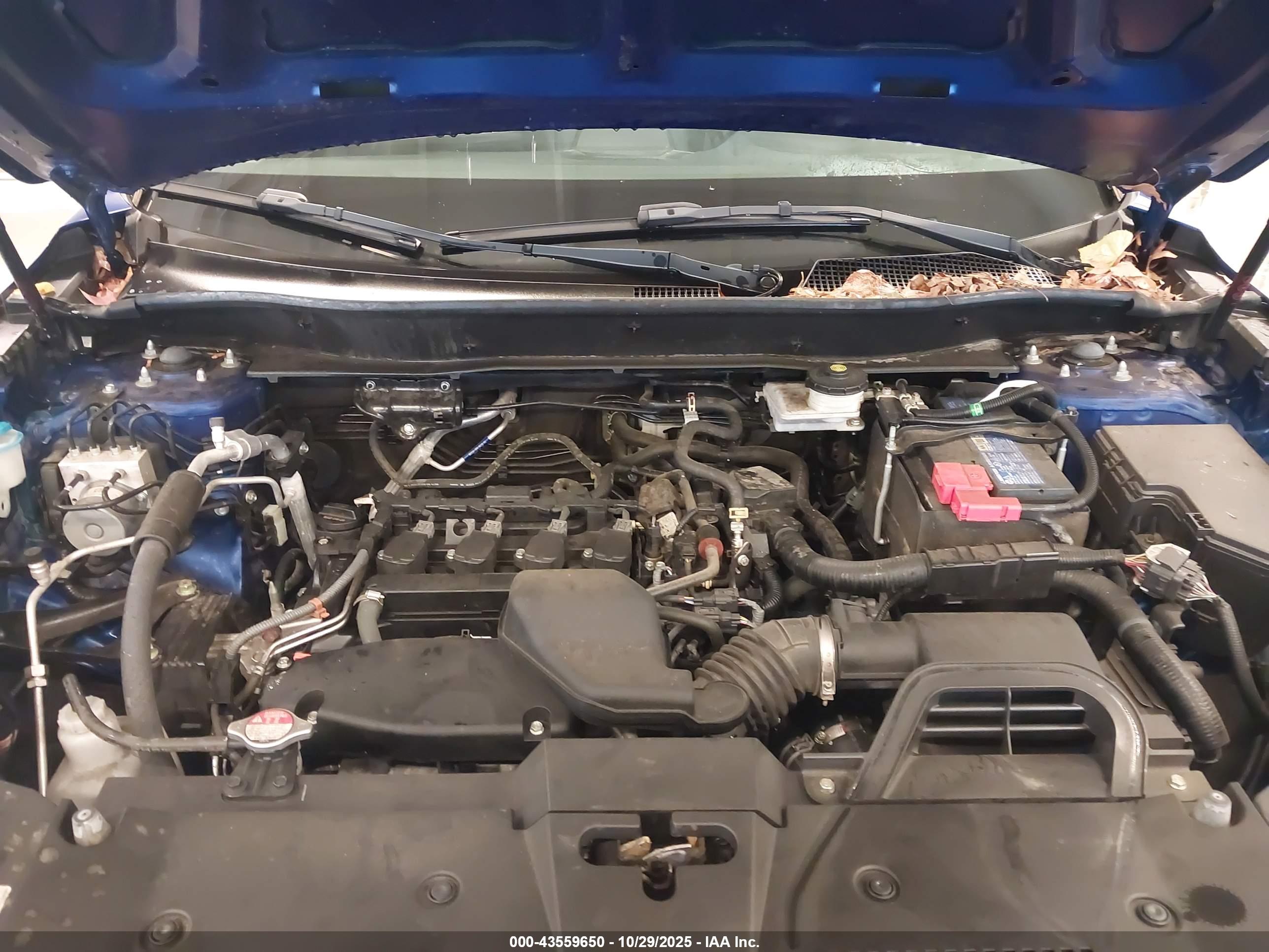 HONDA CR-V image 10