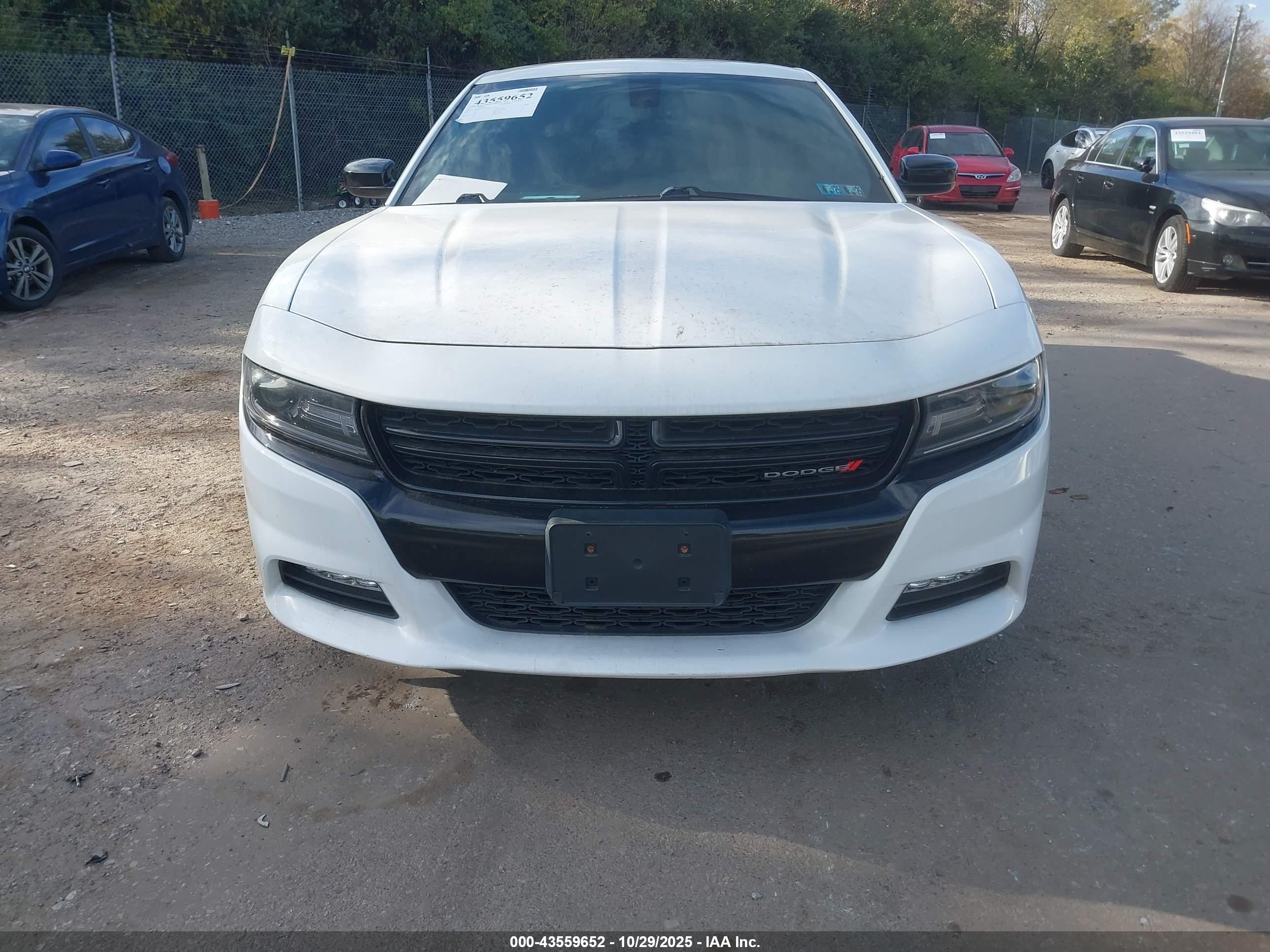 DODGE CHARGER image 6
