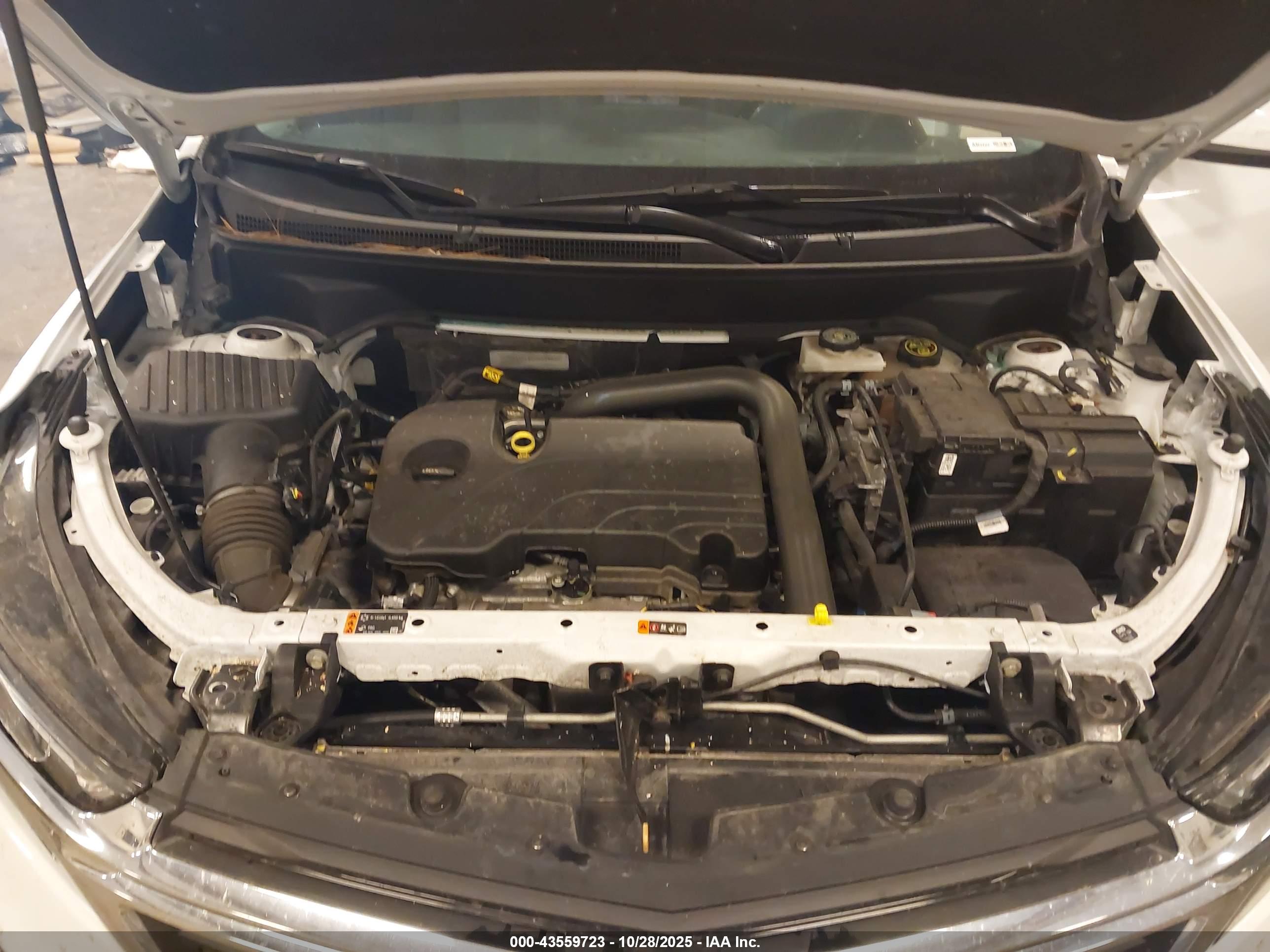 CHEVROLET EQUINOX image 10