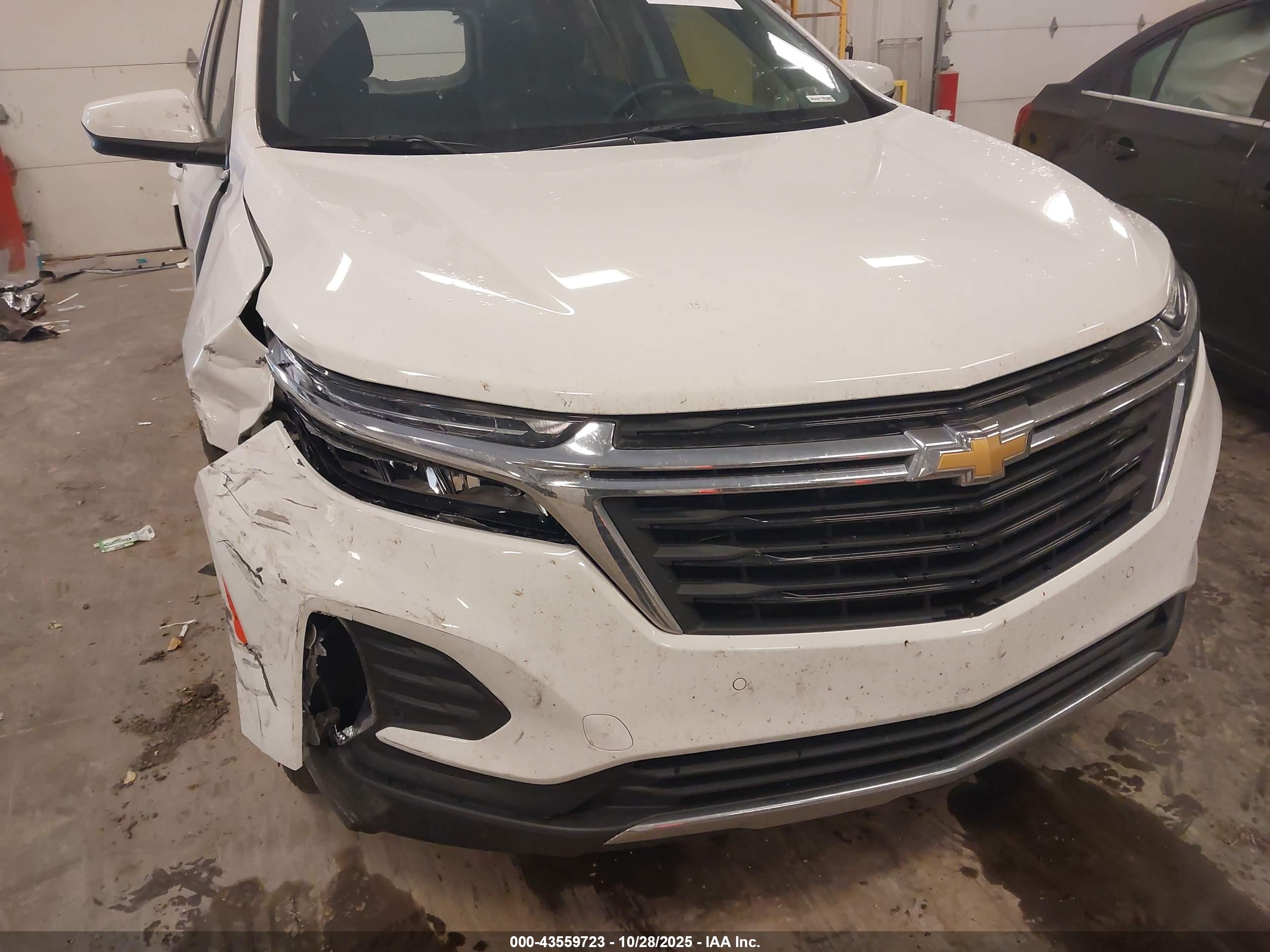 CHEVROLET EQUINOX image 6