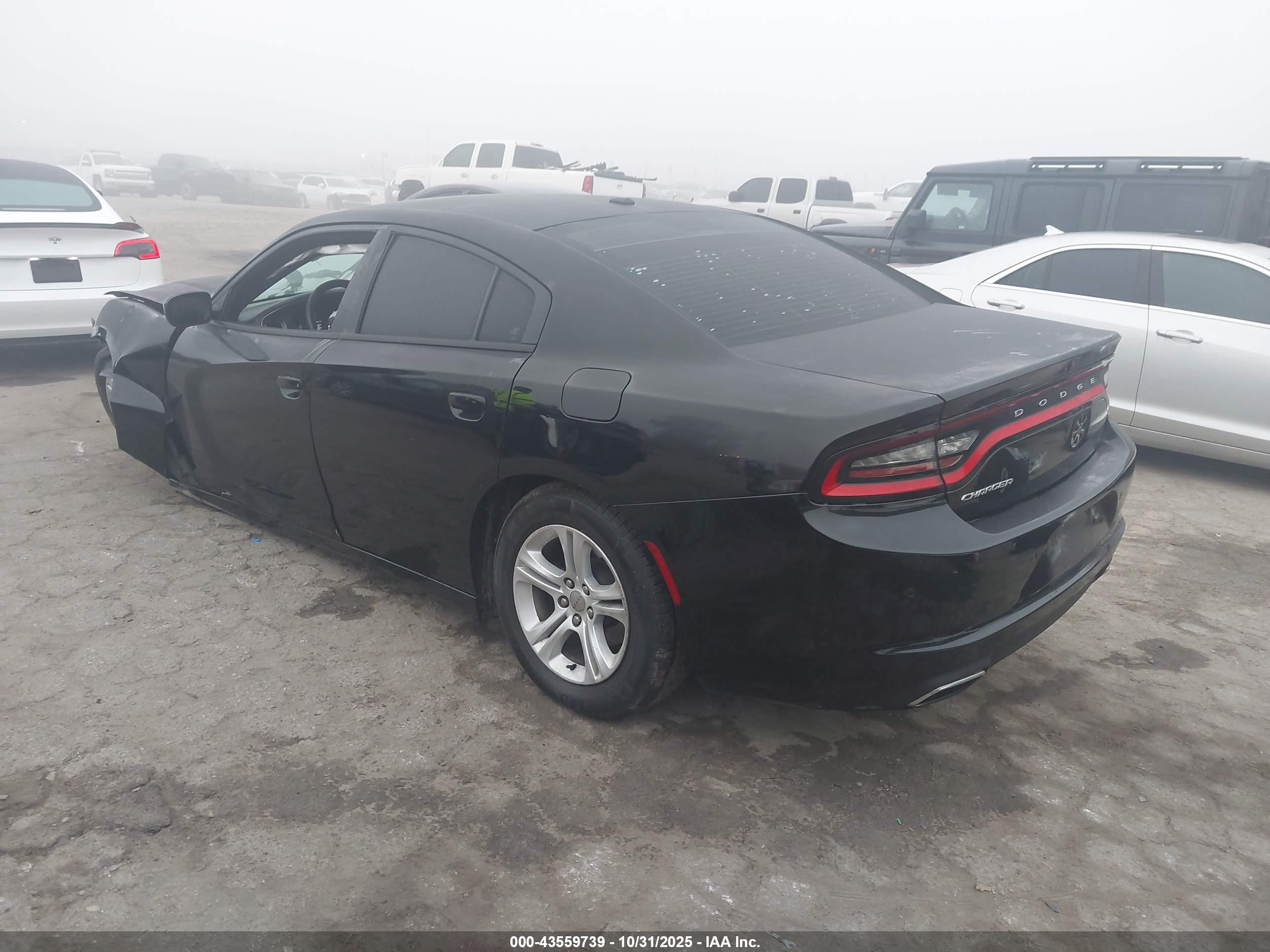 DODGE CHARGER image 3