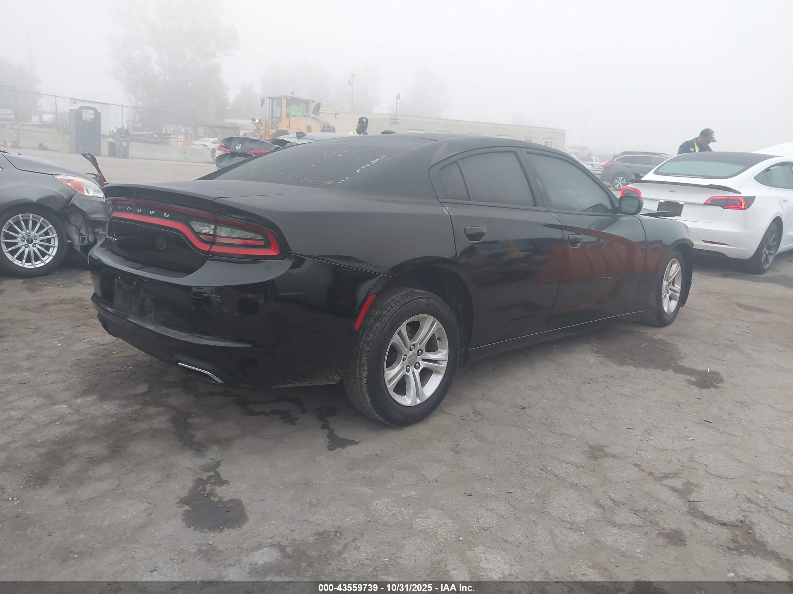 DODGE CHARGER image 4