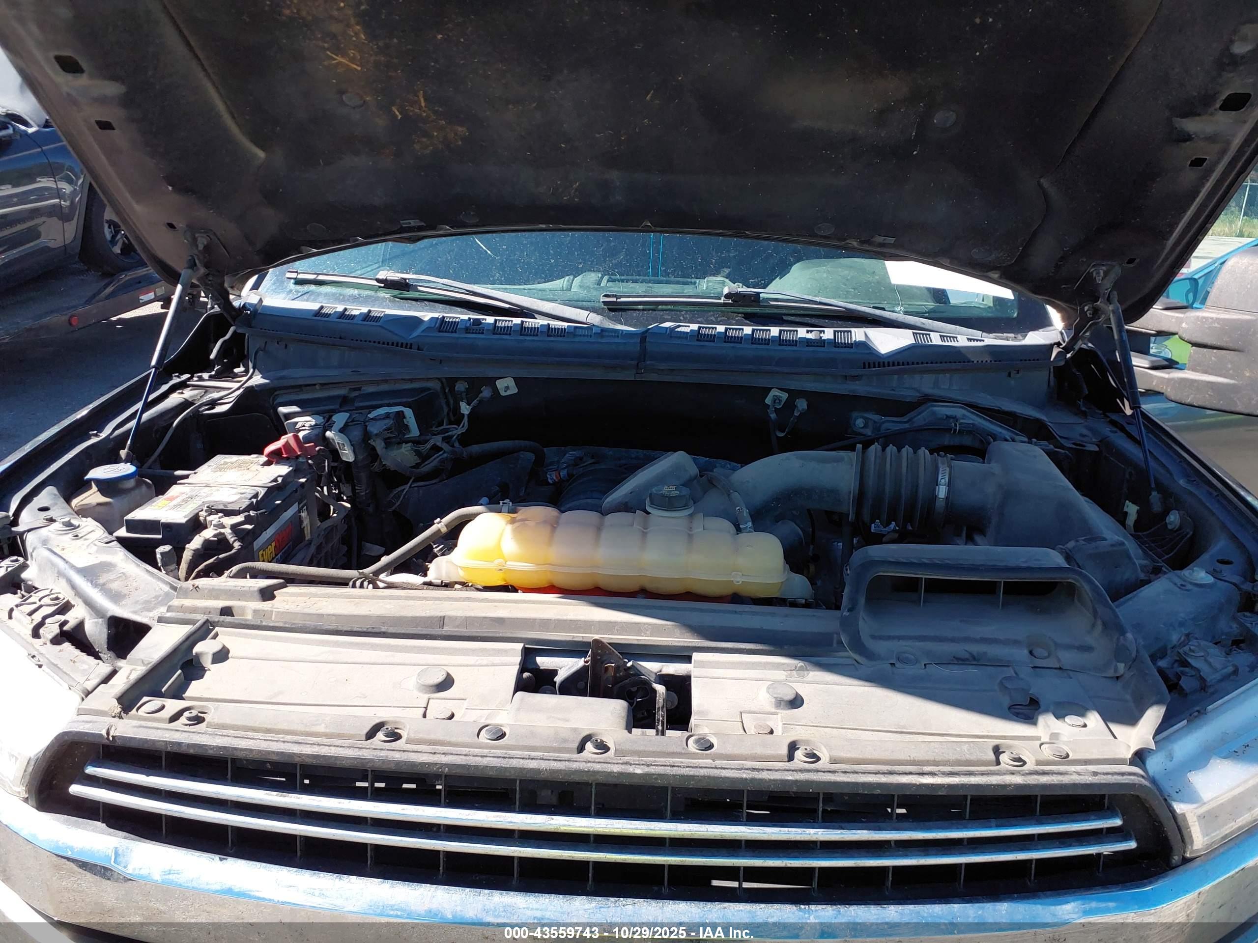 FORD F-150 image 10