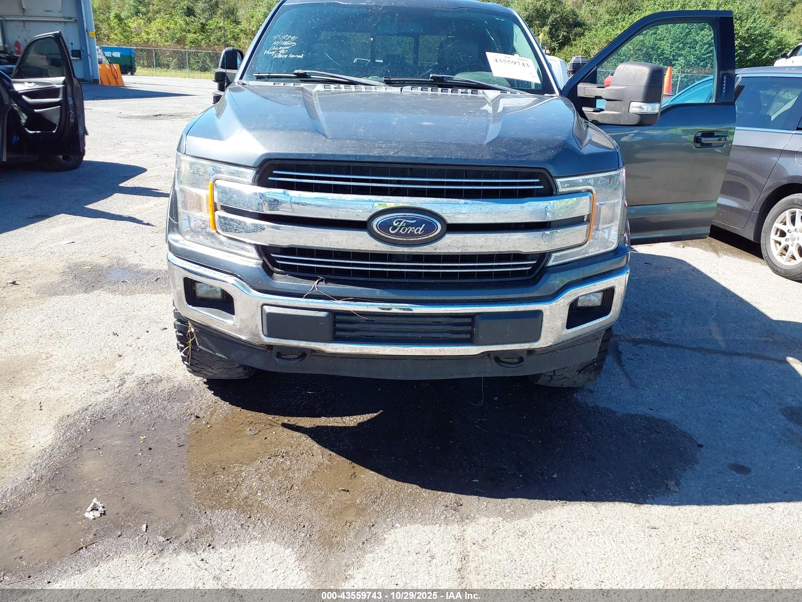 FORD F-150 image 6