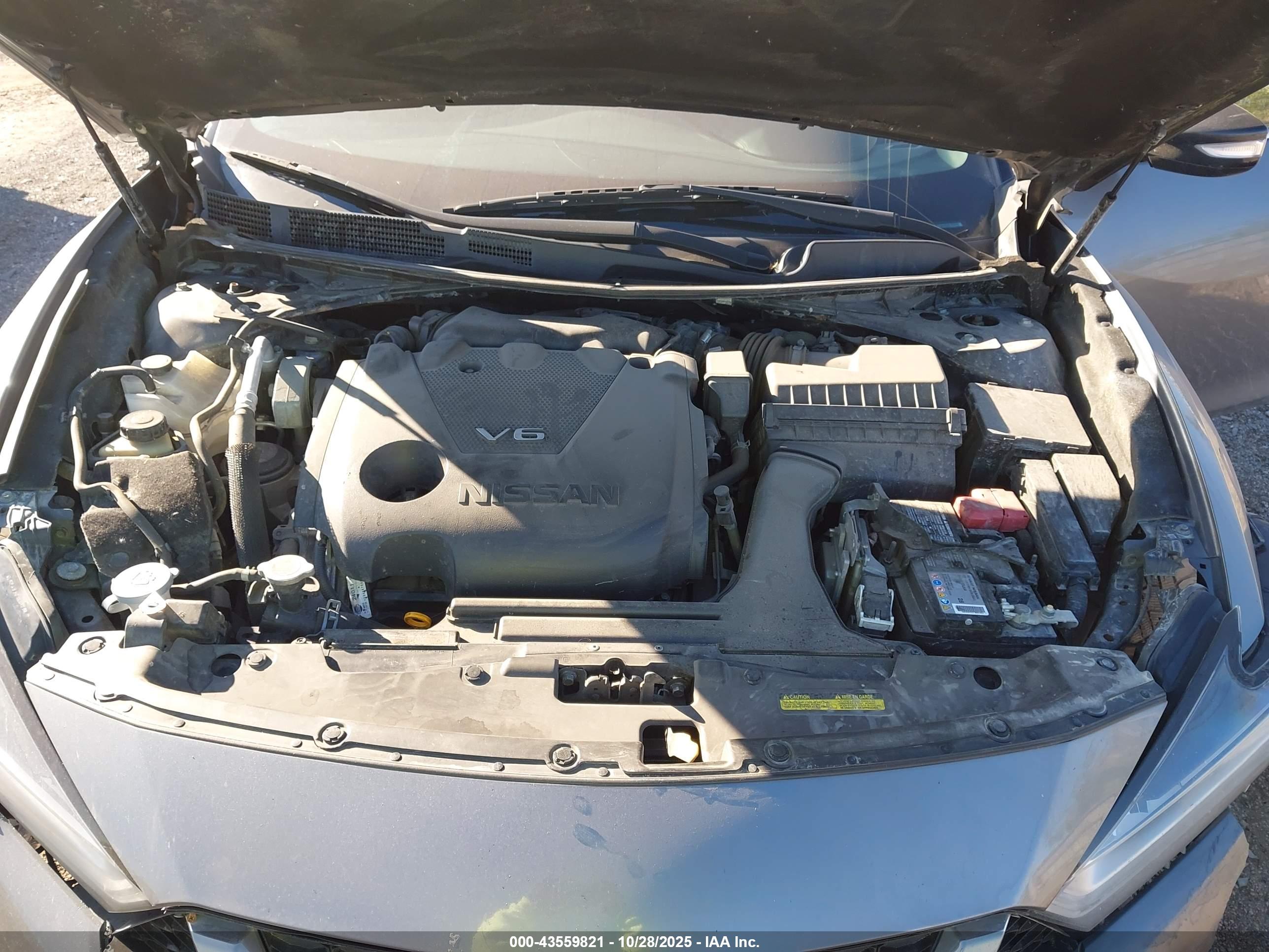 NISSAN MAXIMA image 10