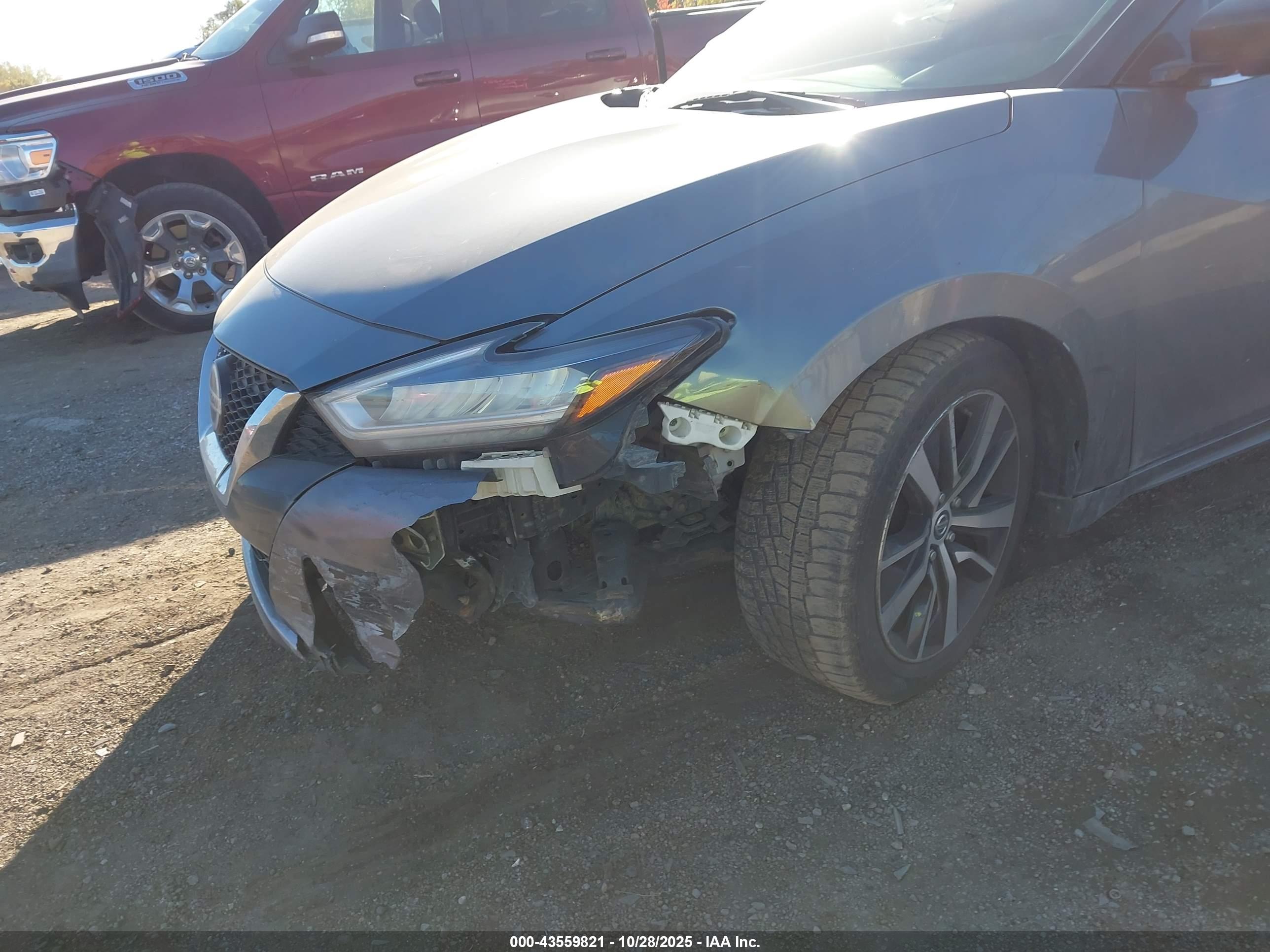 NISSAN MAXIMA image 6