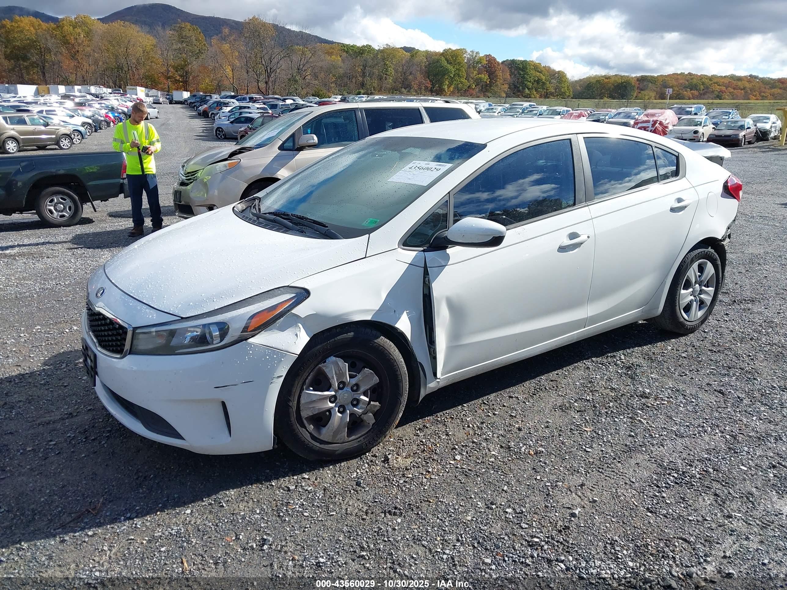 KIA FORTE image 2
