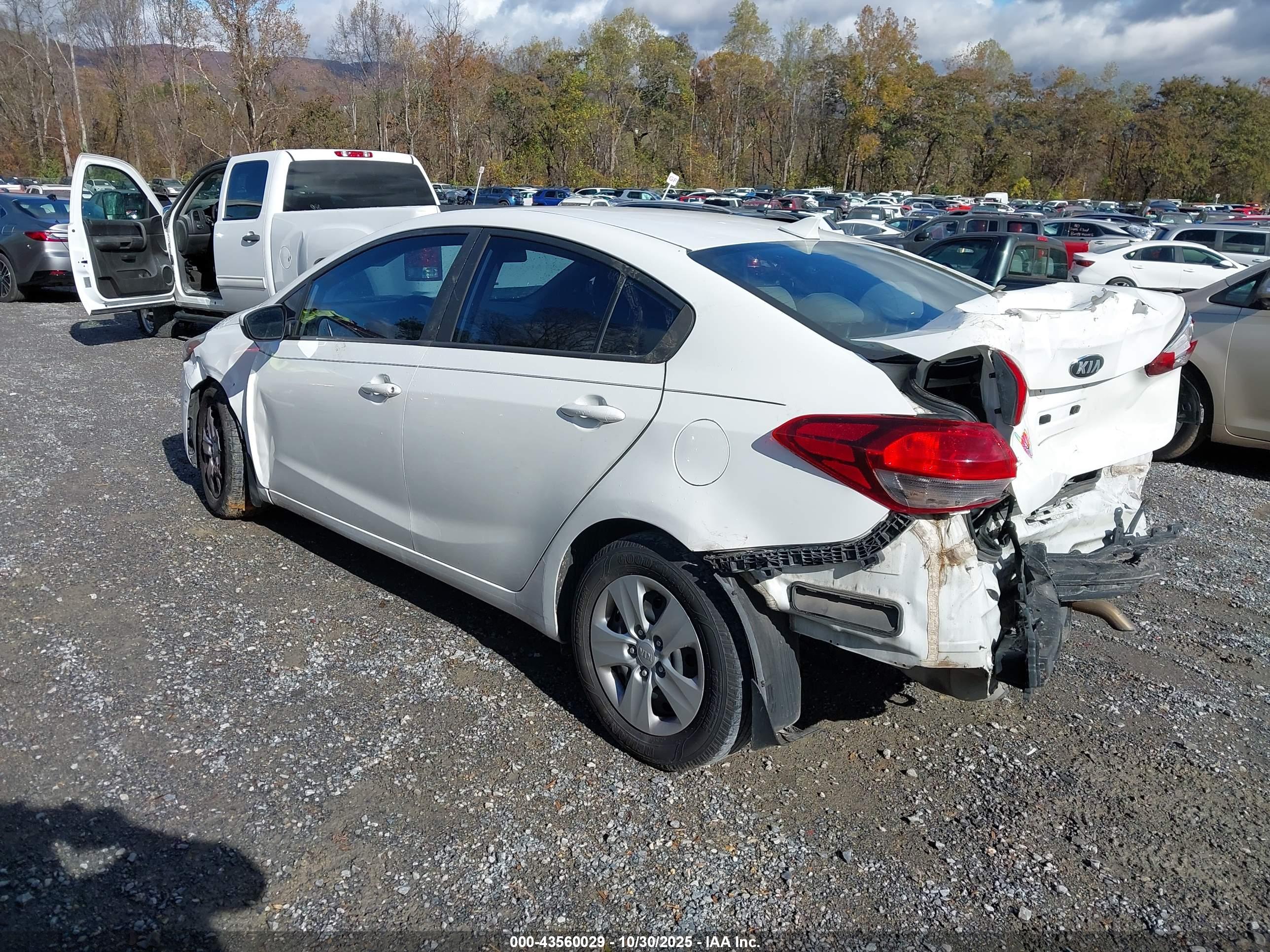 KIA FORTE image 3