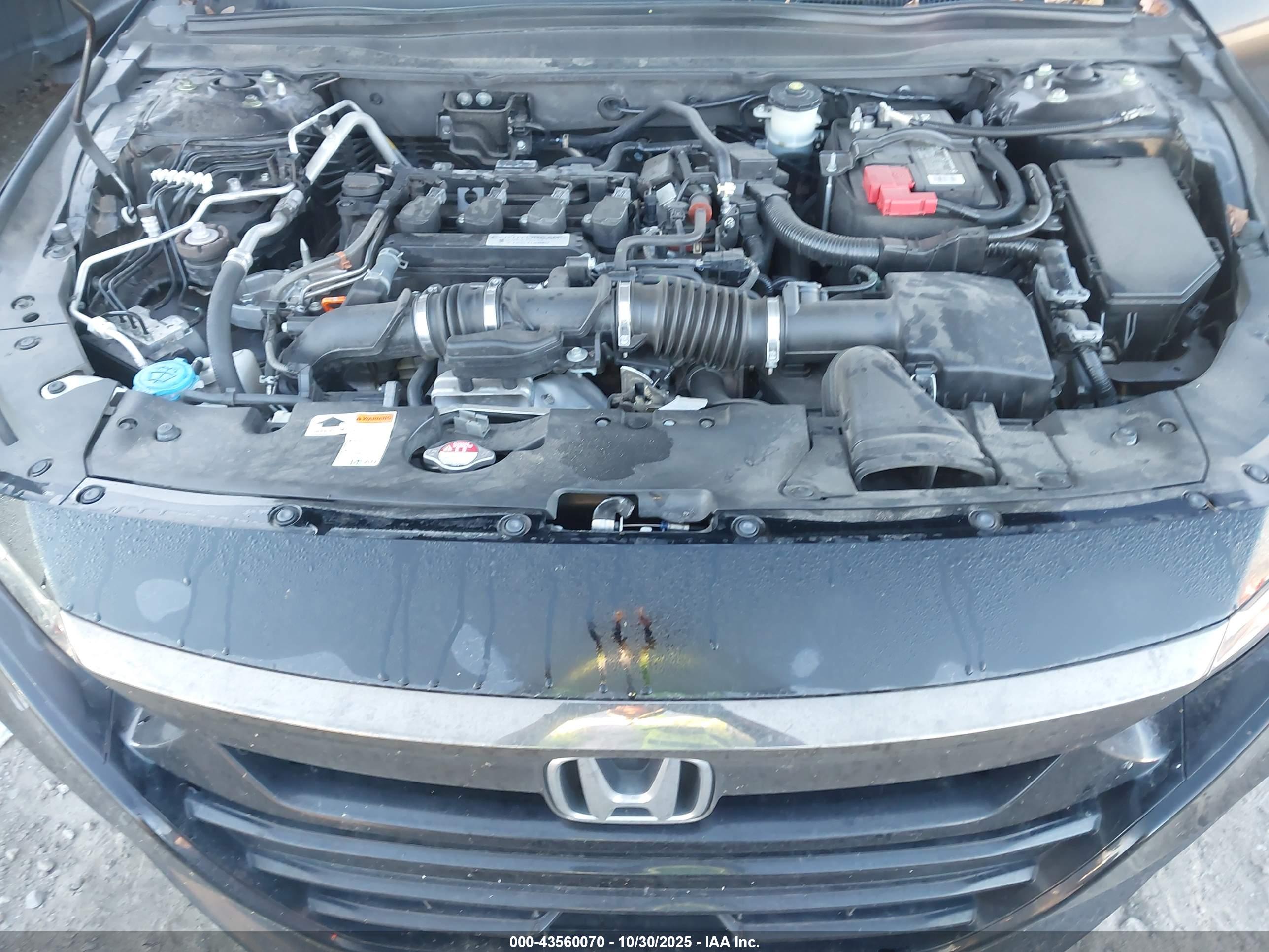 HONDA ACCORD image 10