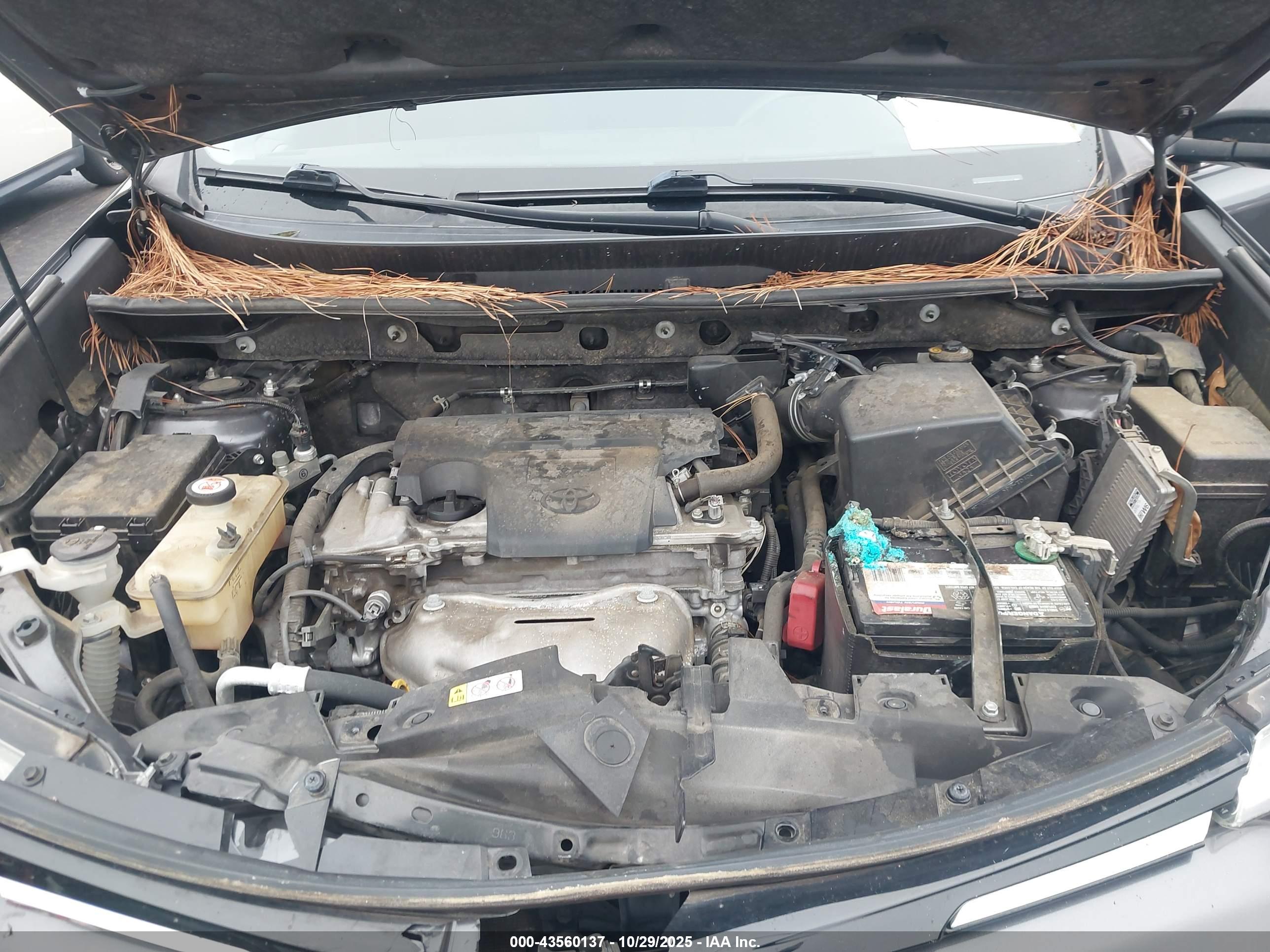 TOYOTA RAV4 image 10
