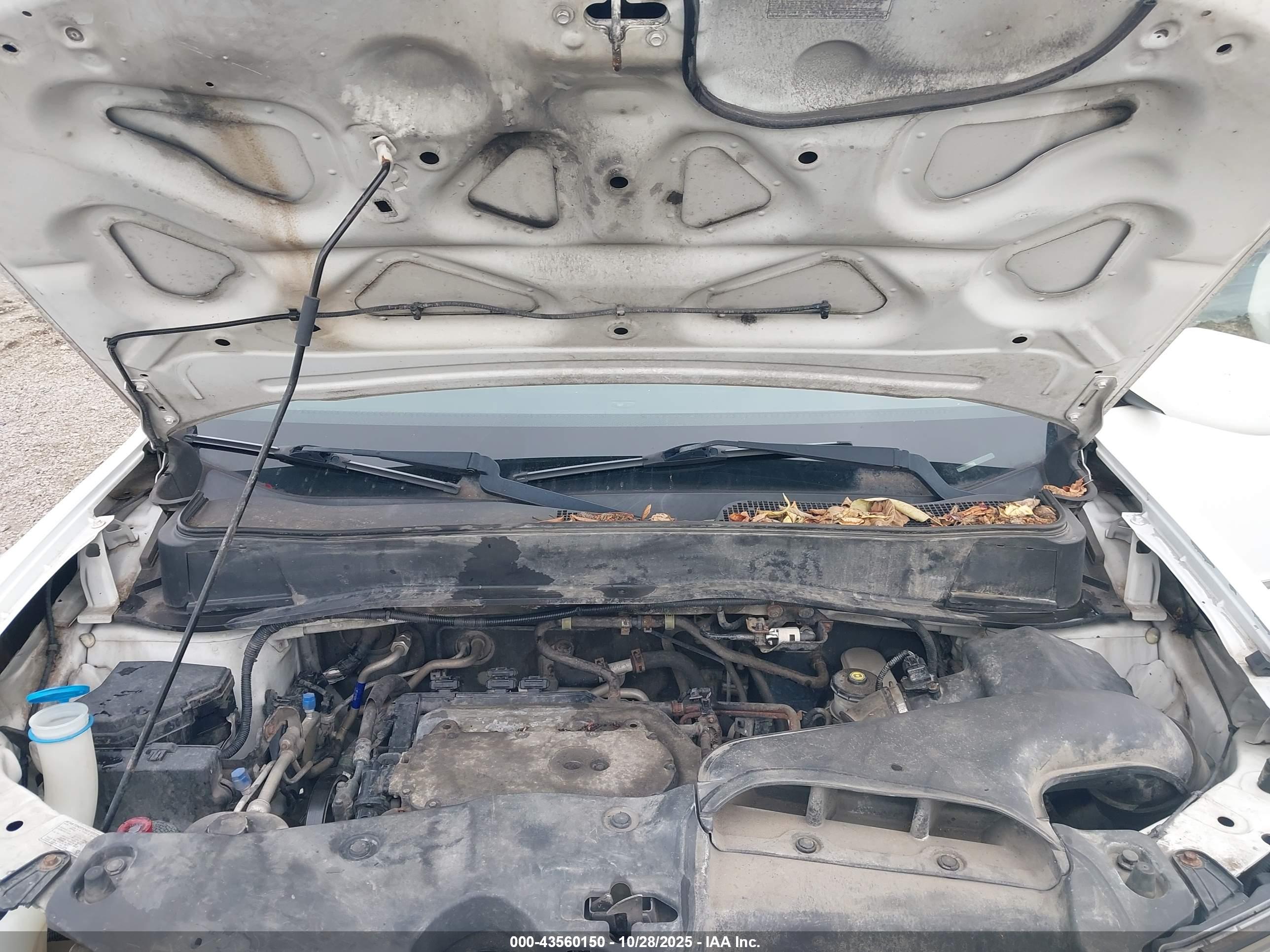 HONDA PILOT image 10