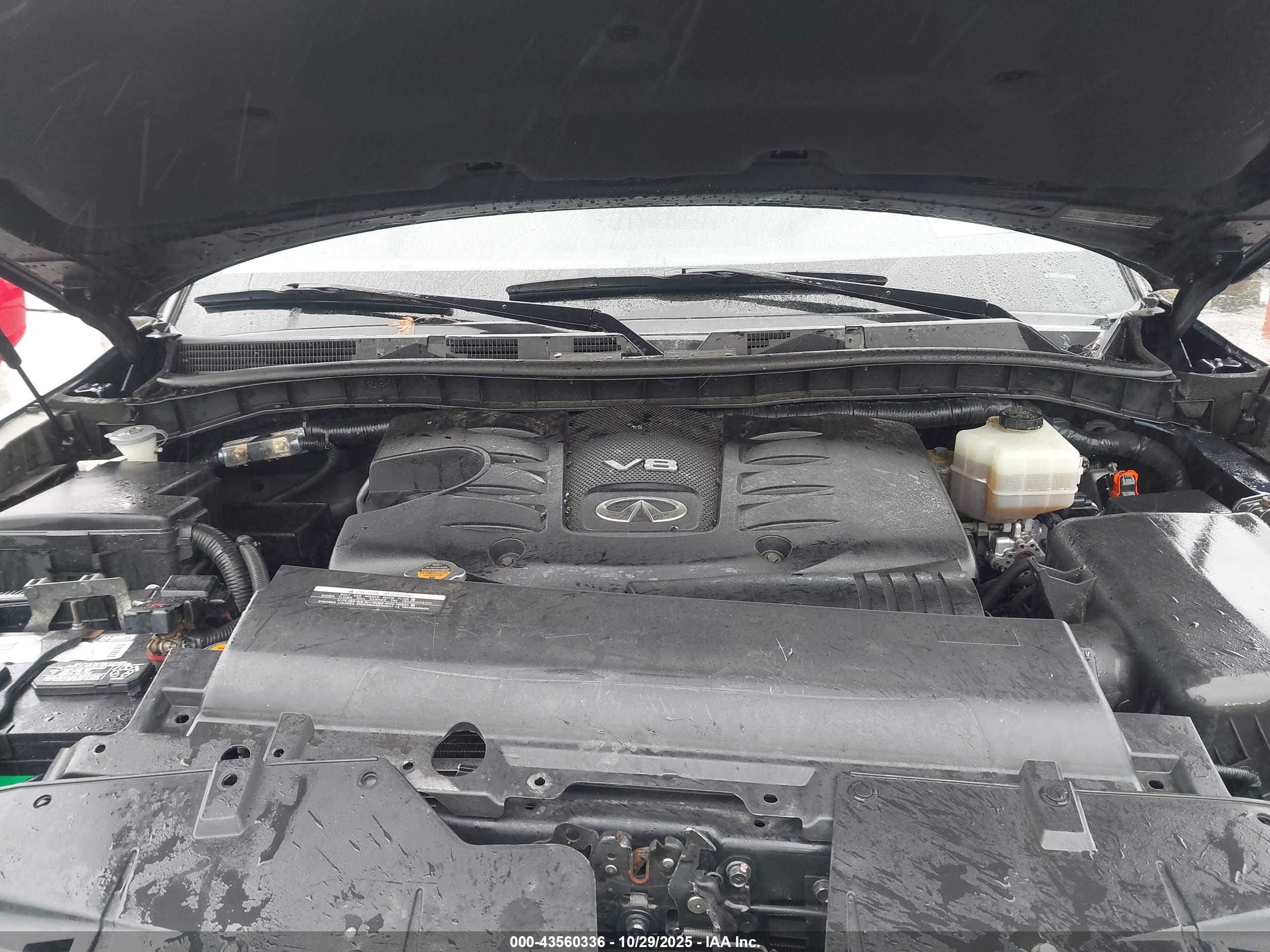 INFINITI QX80 image 10
