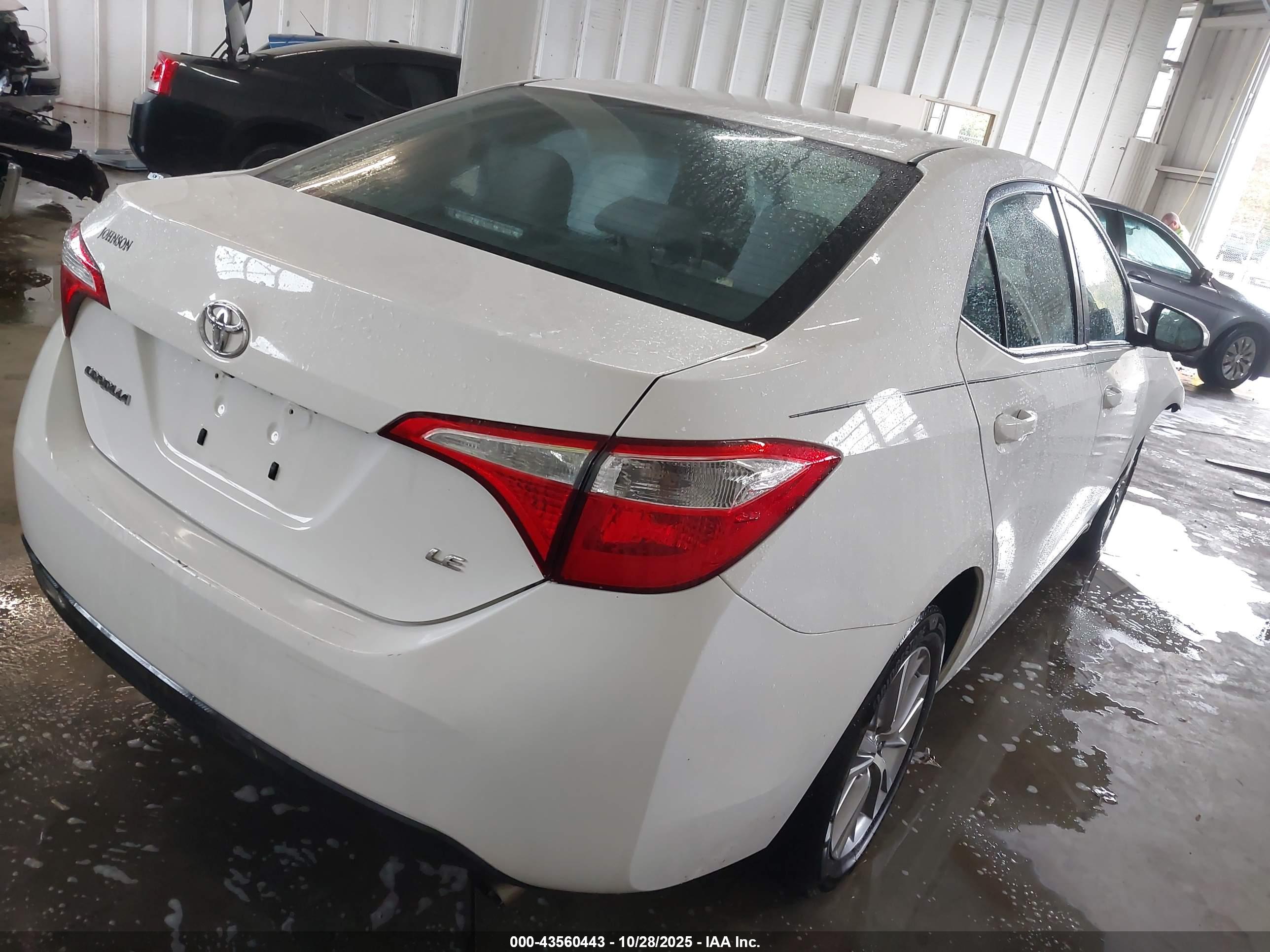 TOYOTA COROLLA image 4