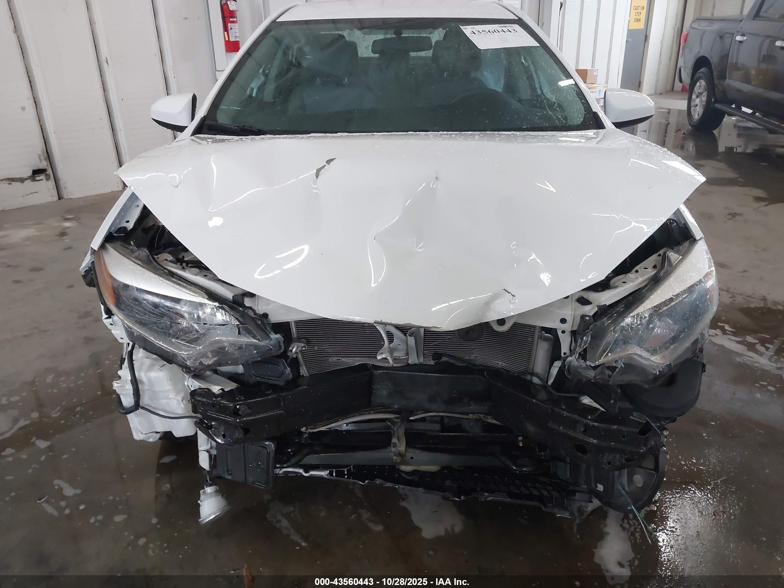 TOYOTA COROLLA image 6
