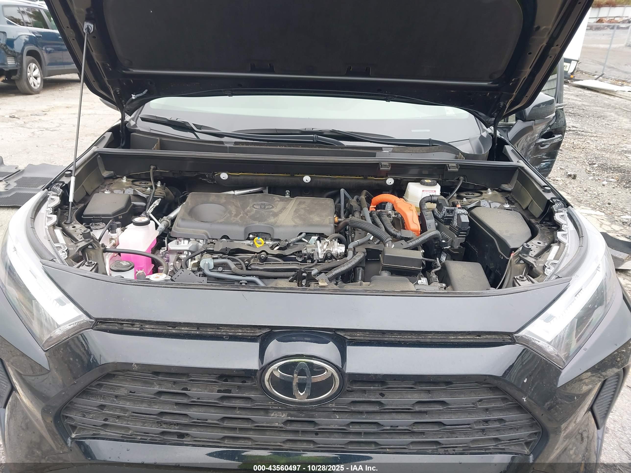TOYOTA RAV4 image 10