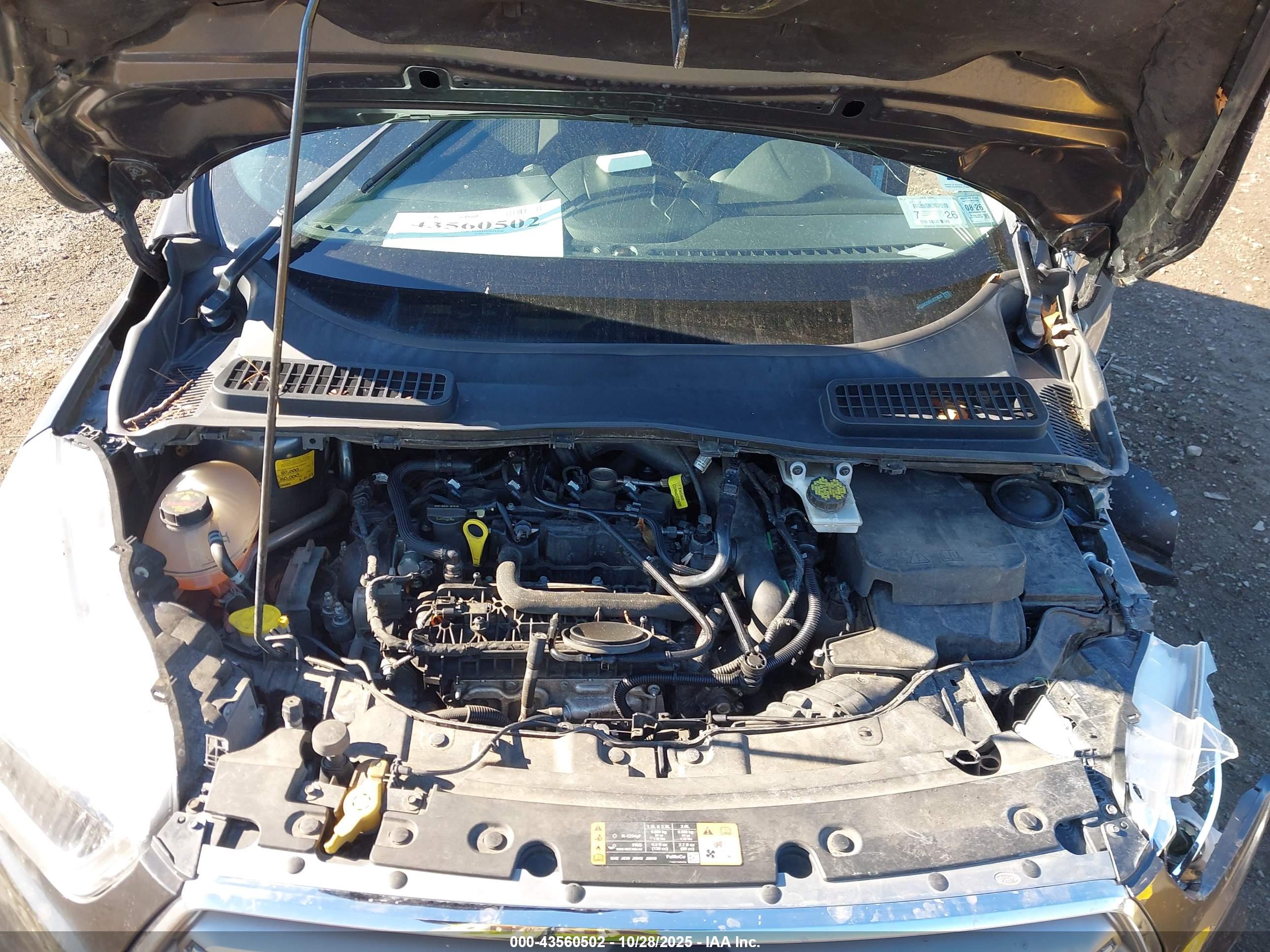 FORD ESCAPE image 10