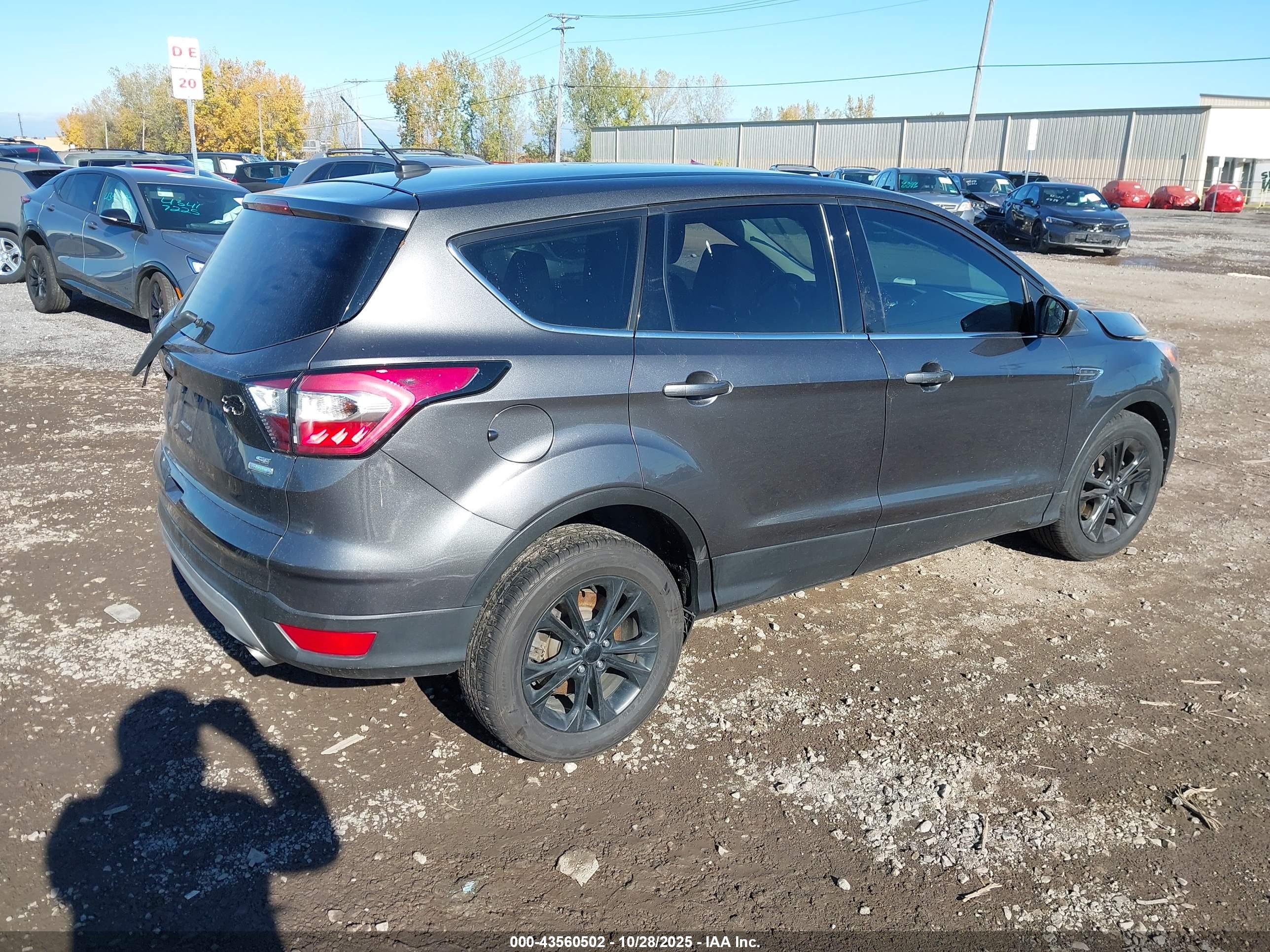 FORD ESCAPE image 4