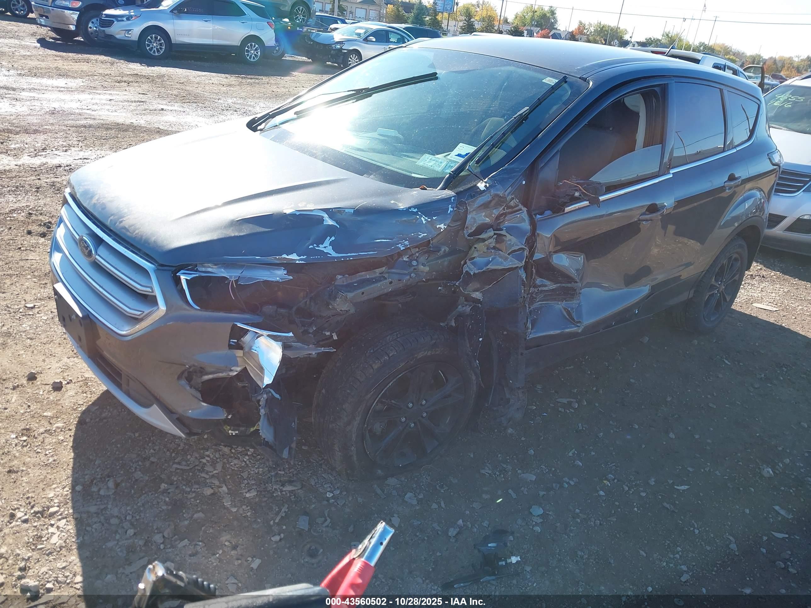 FORD ESCAPE image 6