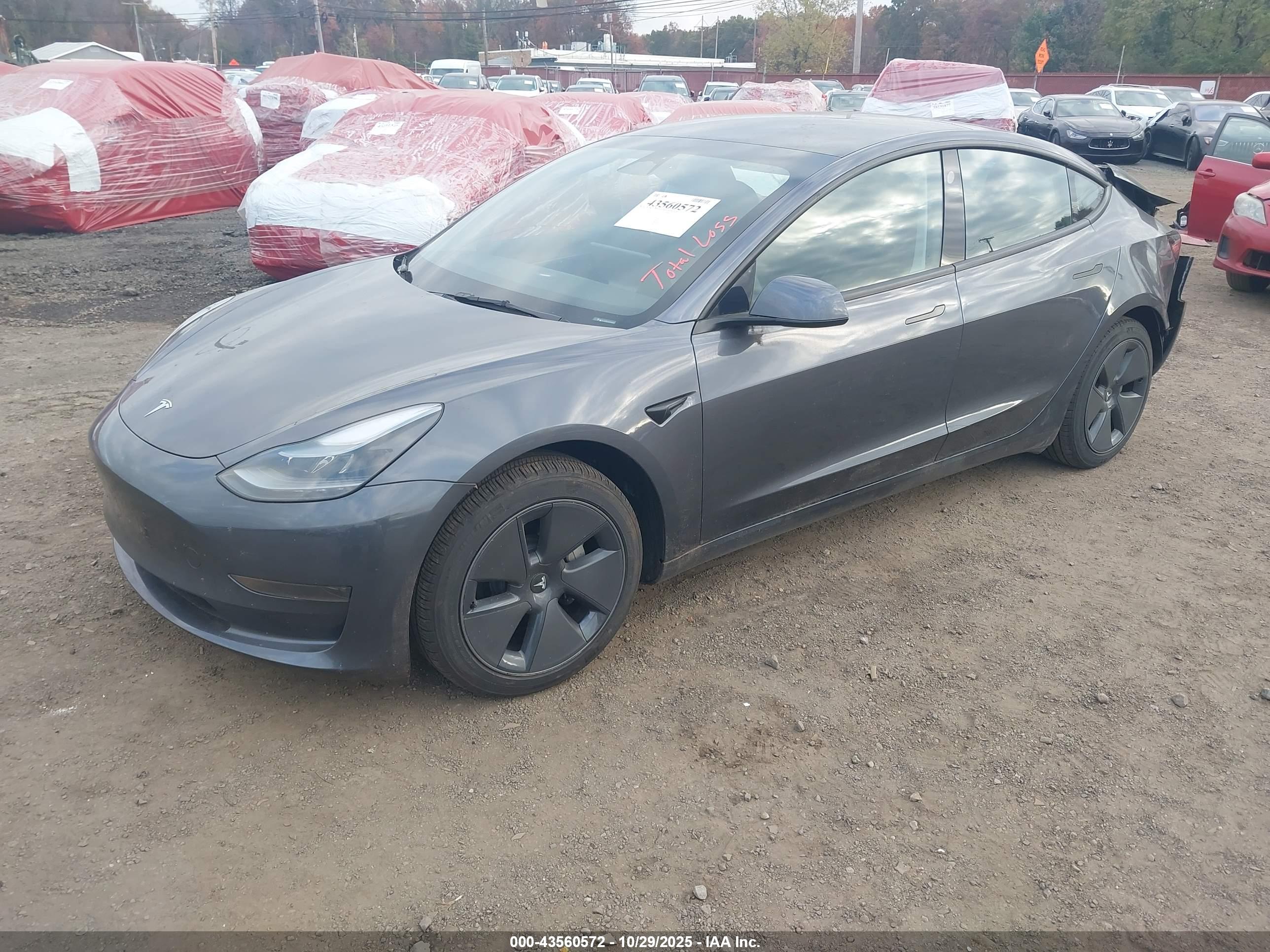 TESLA MODEL image 2