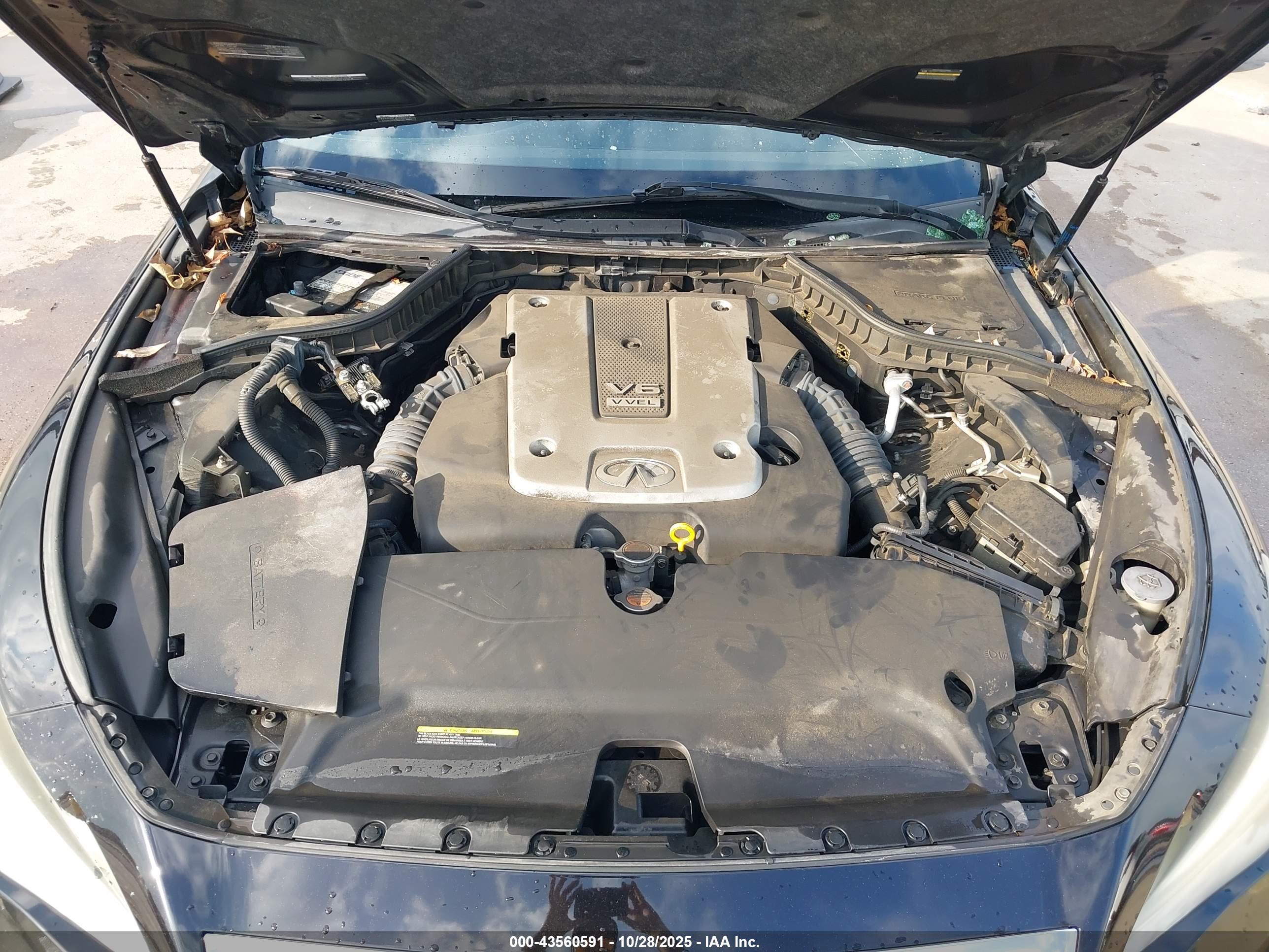 INFINITI Q50 image 10
