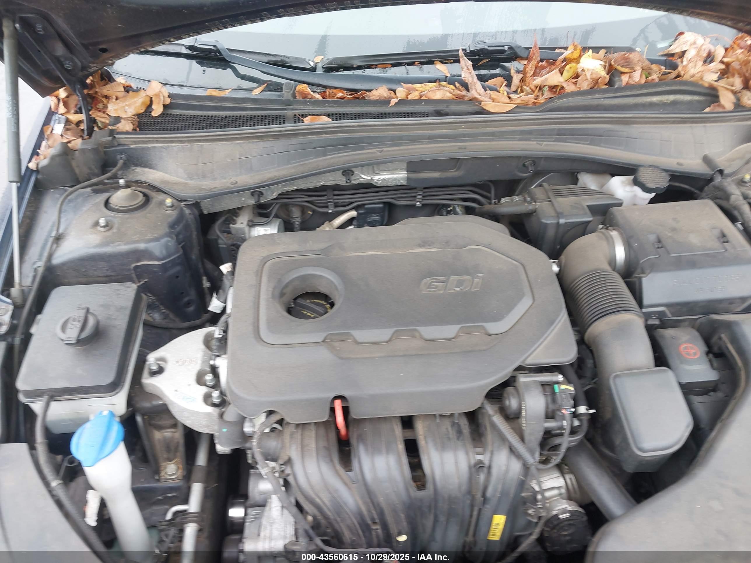 KIA OPTIMA image 10