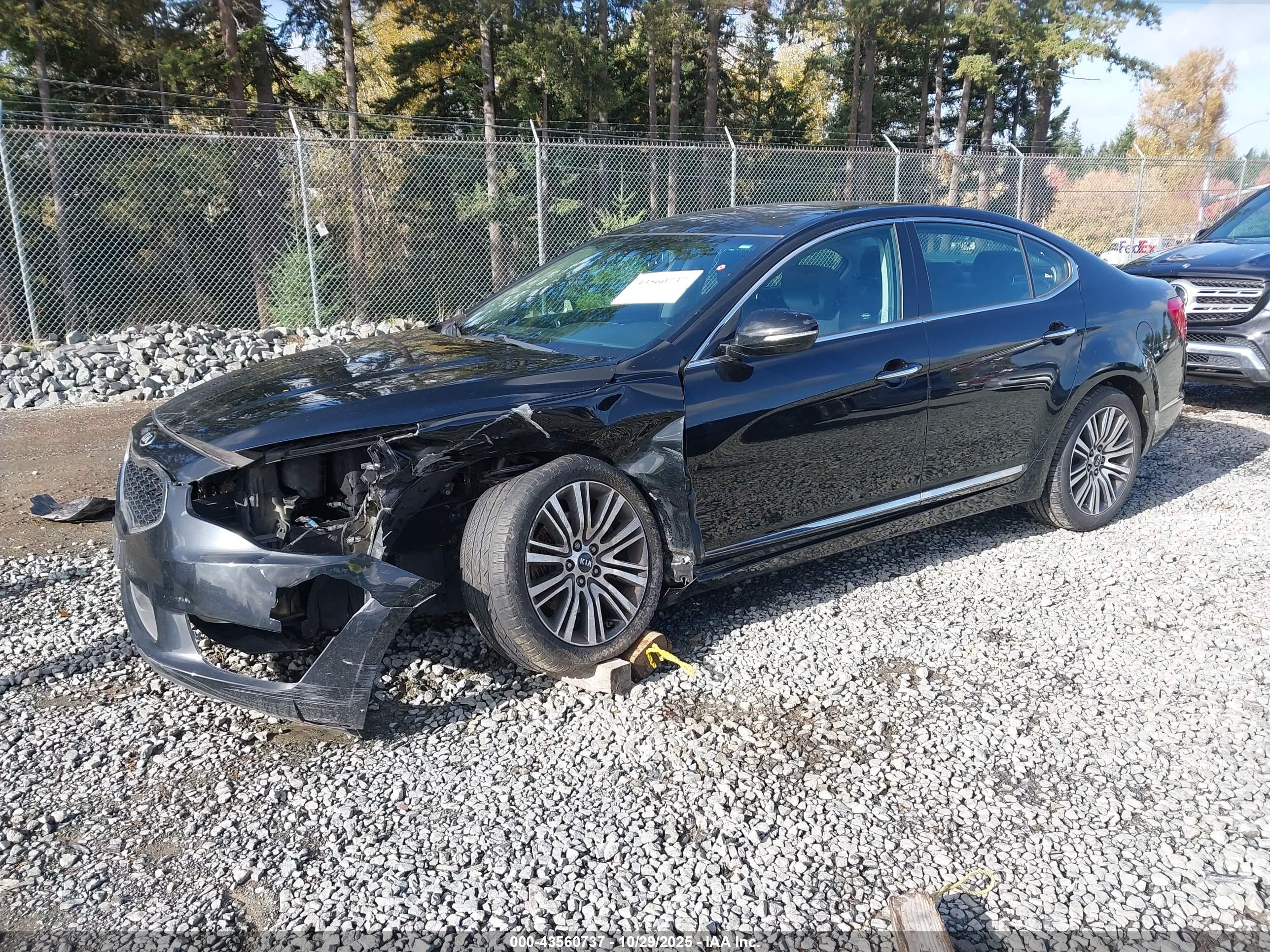 KIA CADENZA image 2
