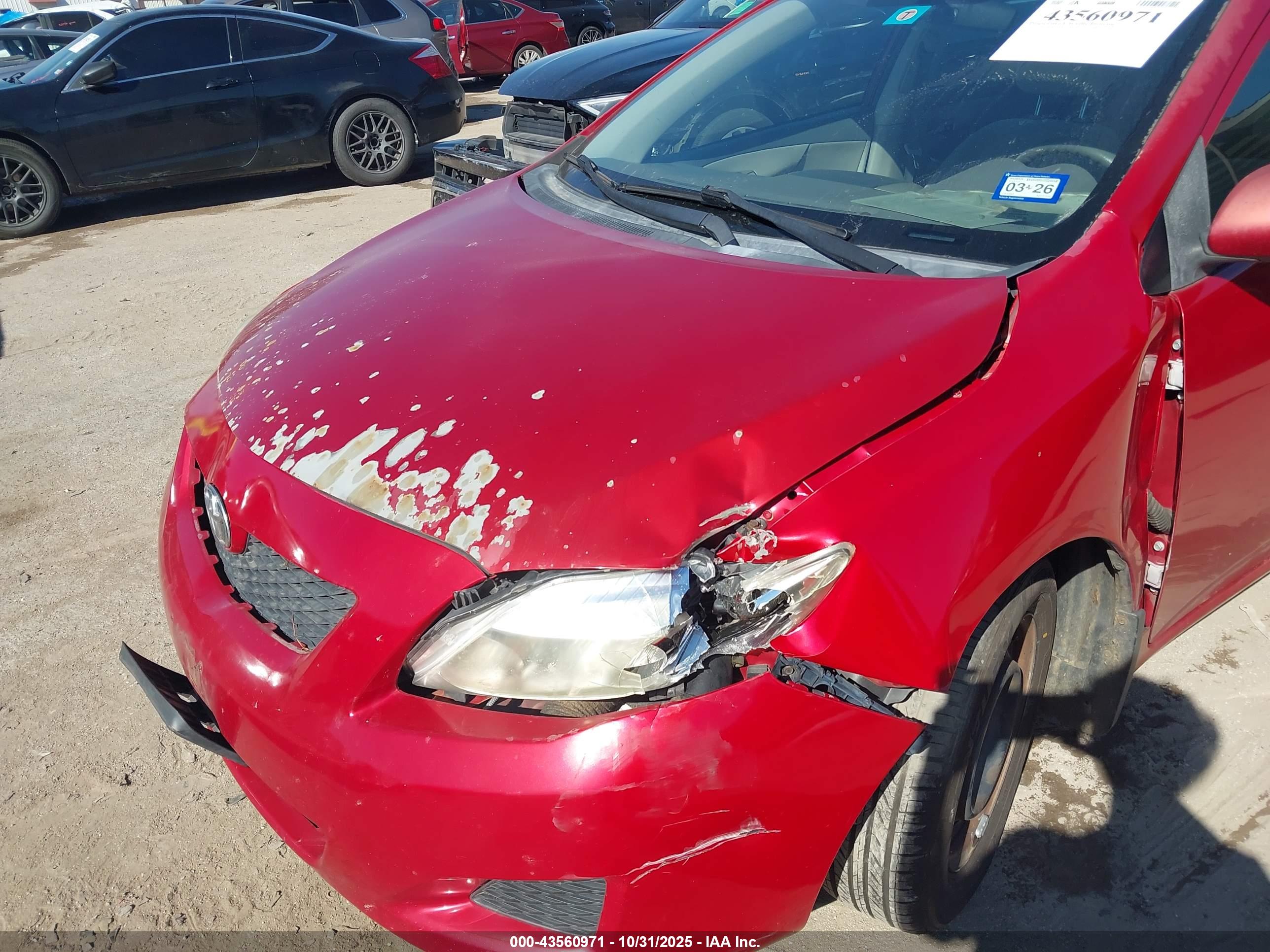 TOYOTA COROLLA image 6