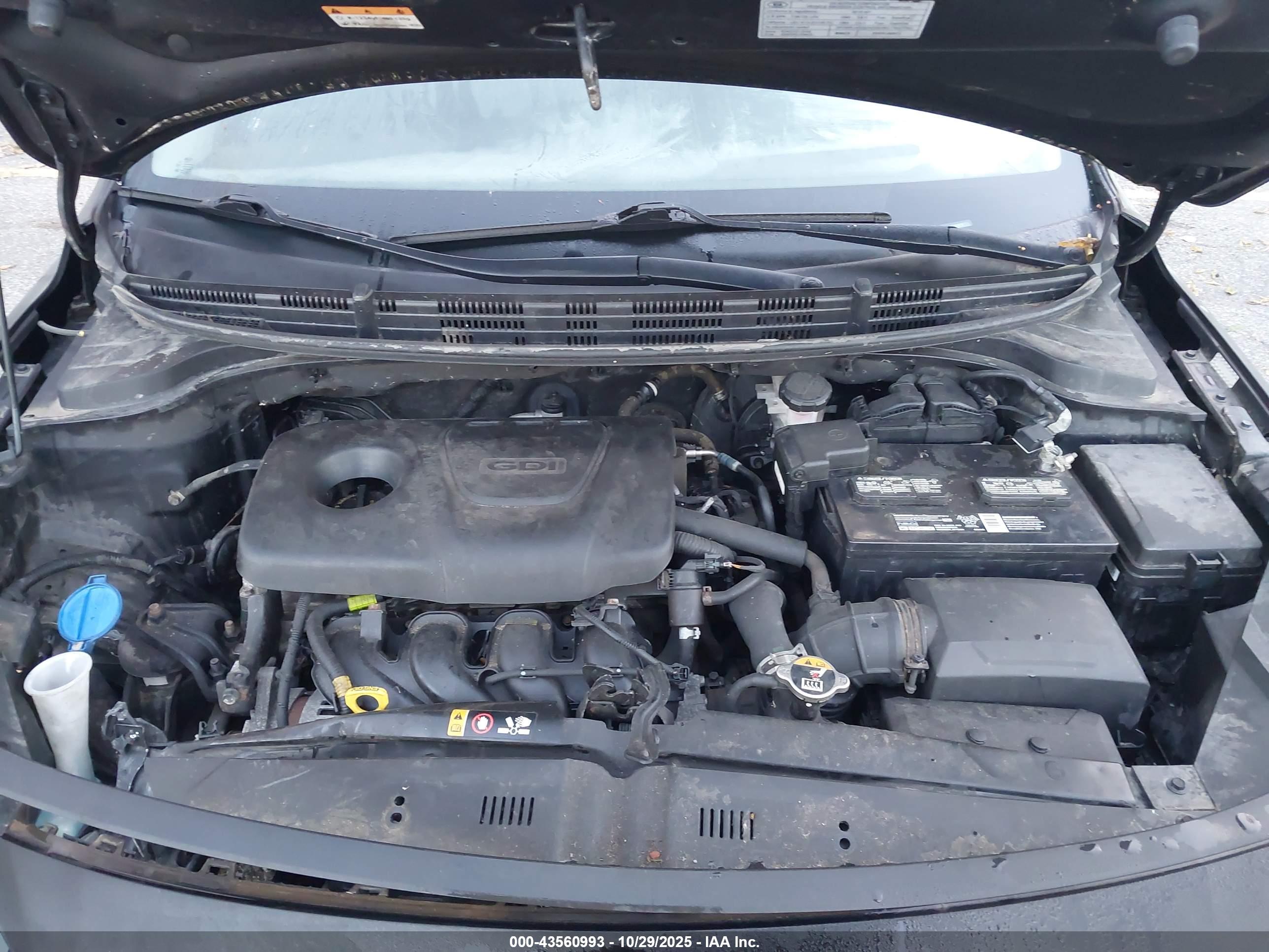 KIA RIO image 10