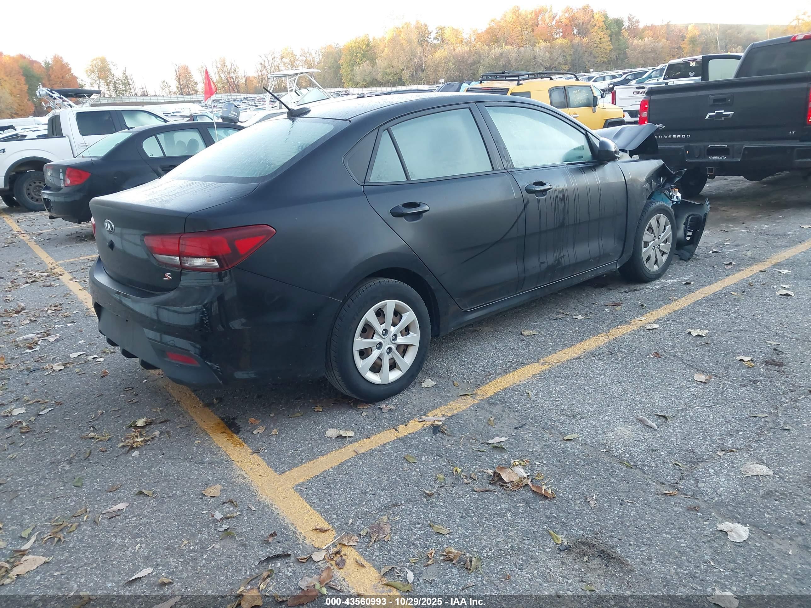 KIA RIO image 4