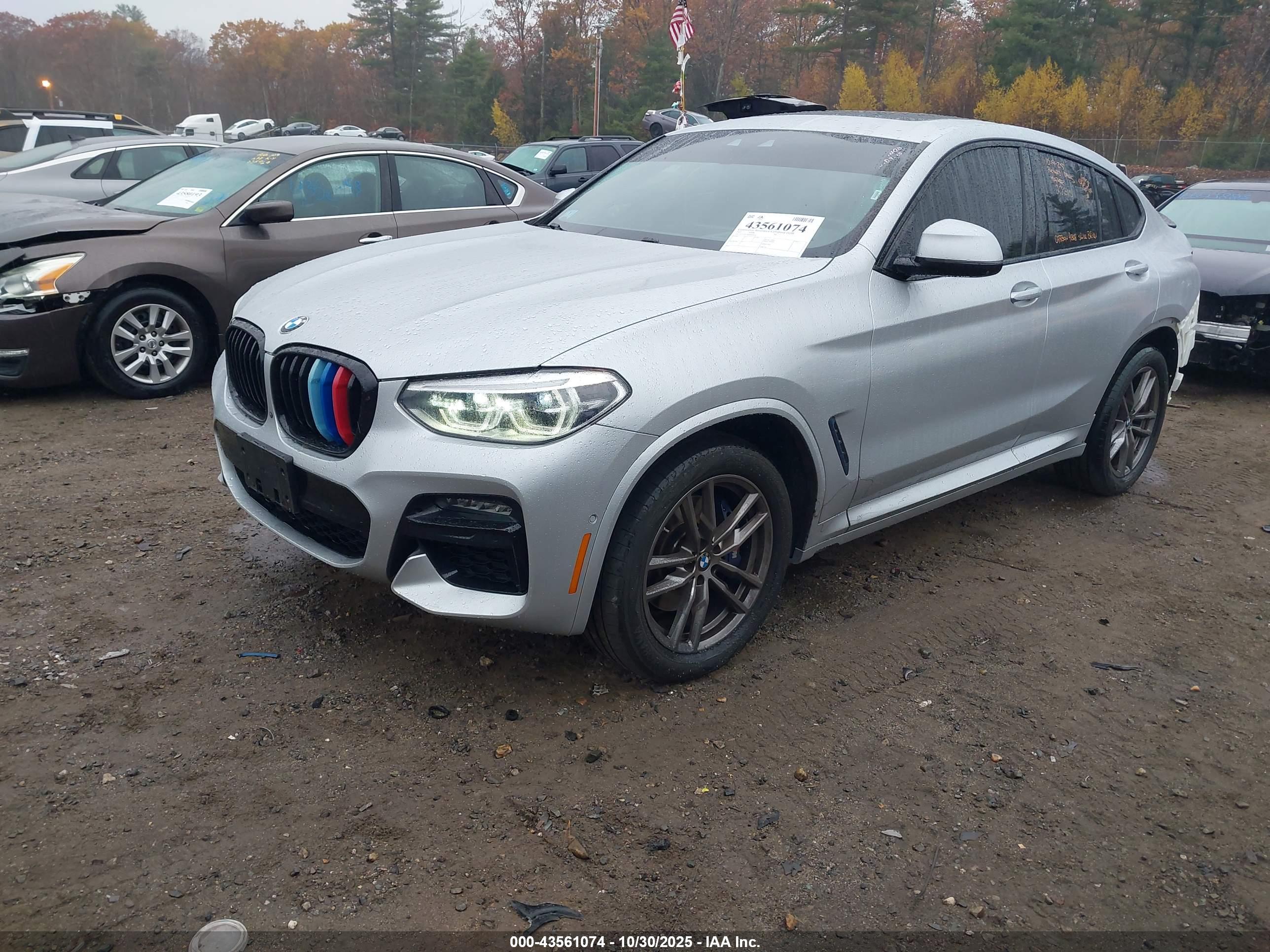BMW X4 image 2