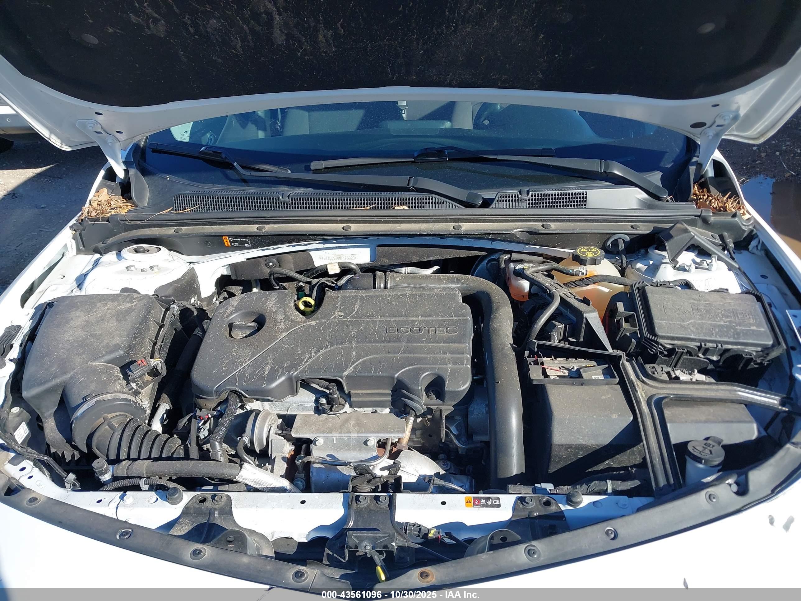 CHEVROLET MALIBU image 10