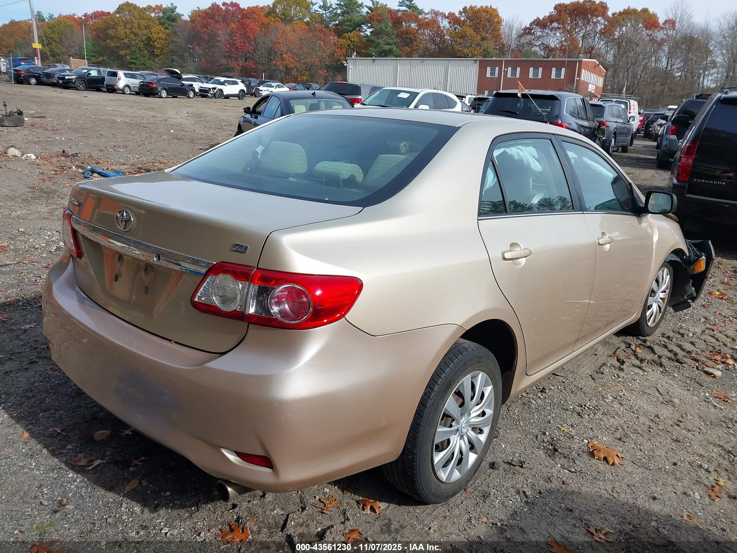 TOYOTA COROLLA image 4